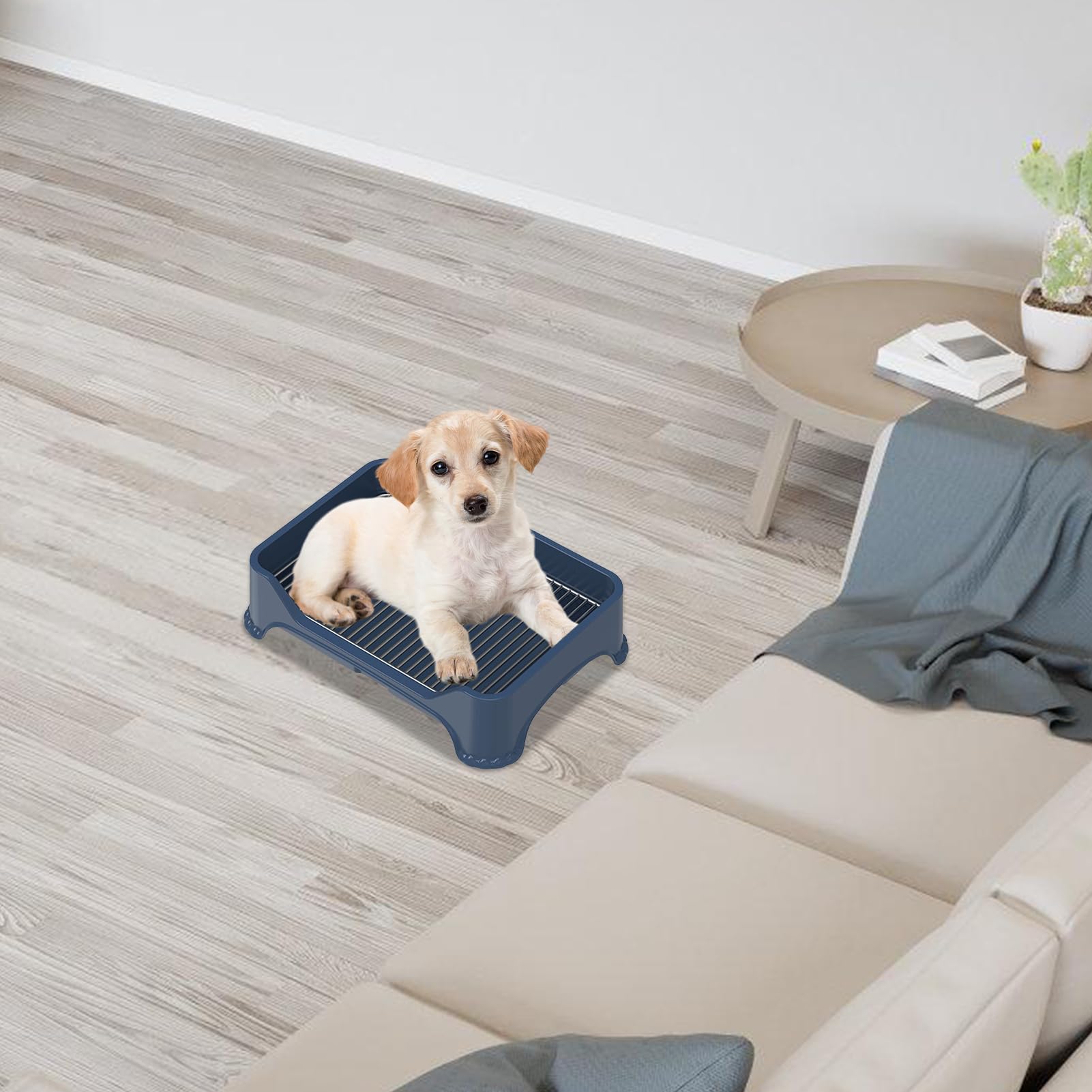 Servizi igienici per cani - Servizi igienici per cuccioli in acciaio inossidabile | Vassoio per vaso portatile per interni per cani, WC per cani da toeletta, tappetino antipasto, vassoio P