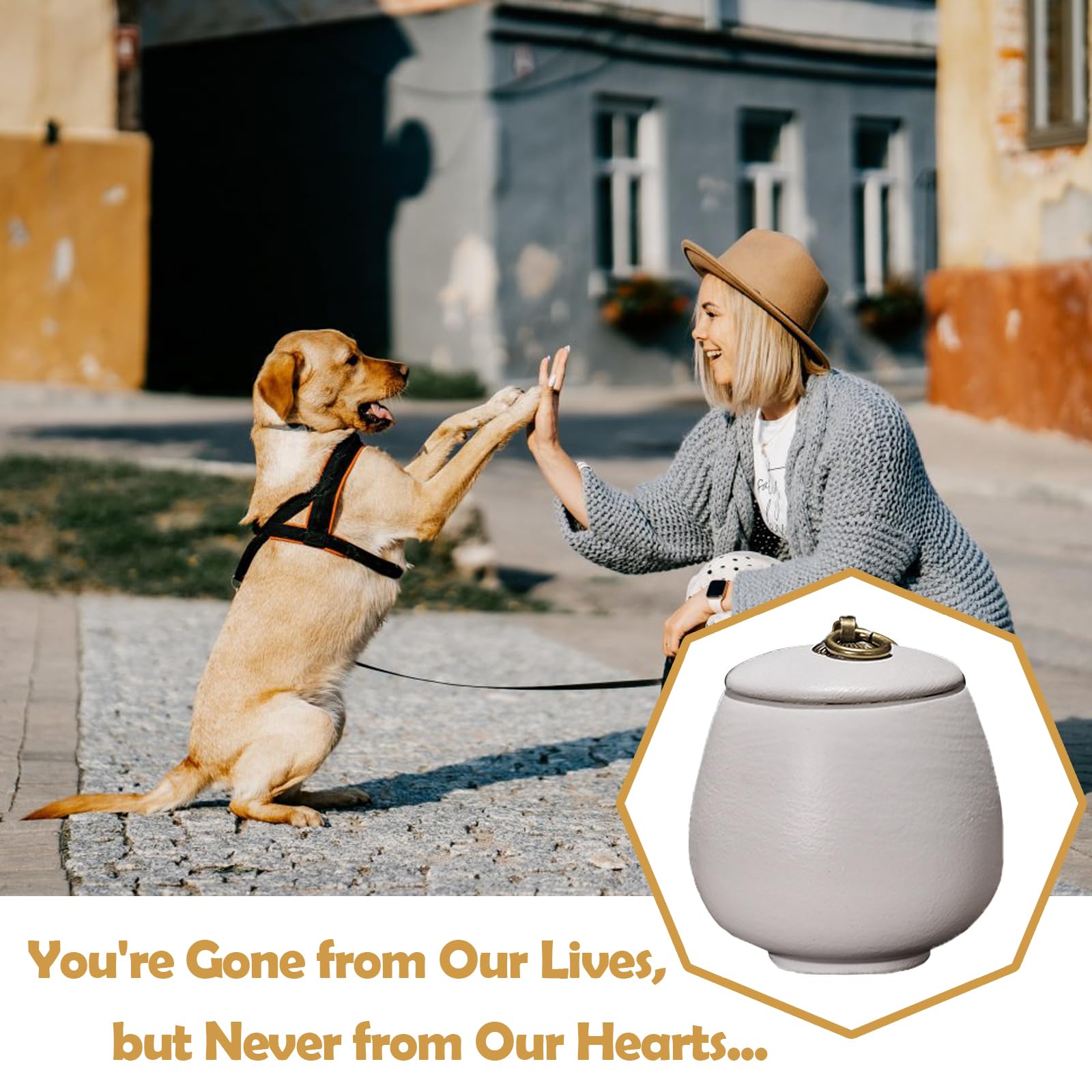 Urna per ceneri di animali domestici, in ceramica, fatta a mano, regalo commemorativo con scatola fotografica (bianco opaco, media)