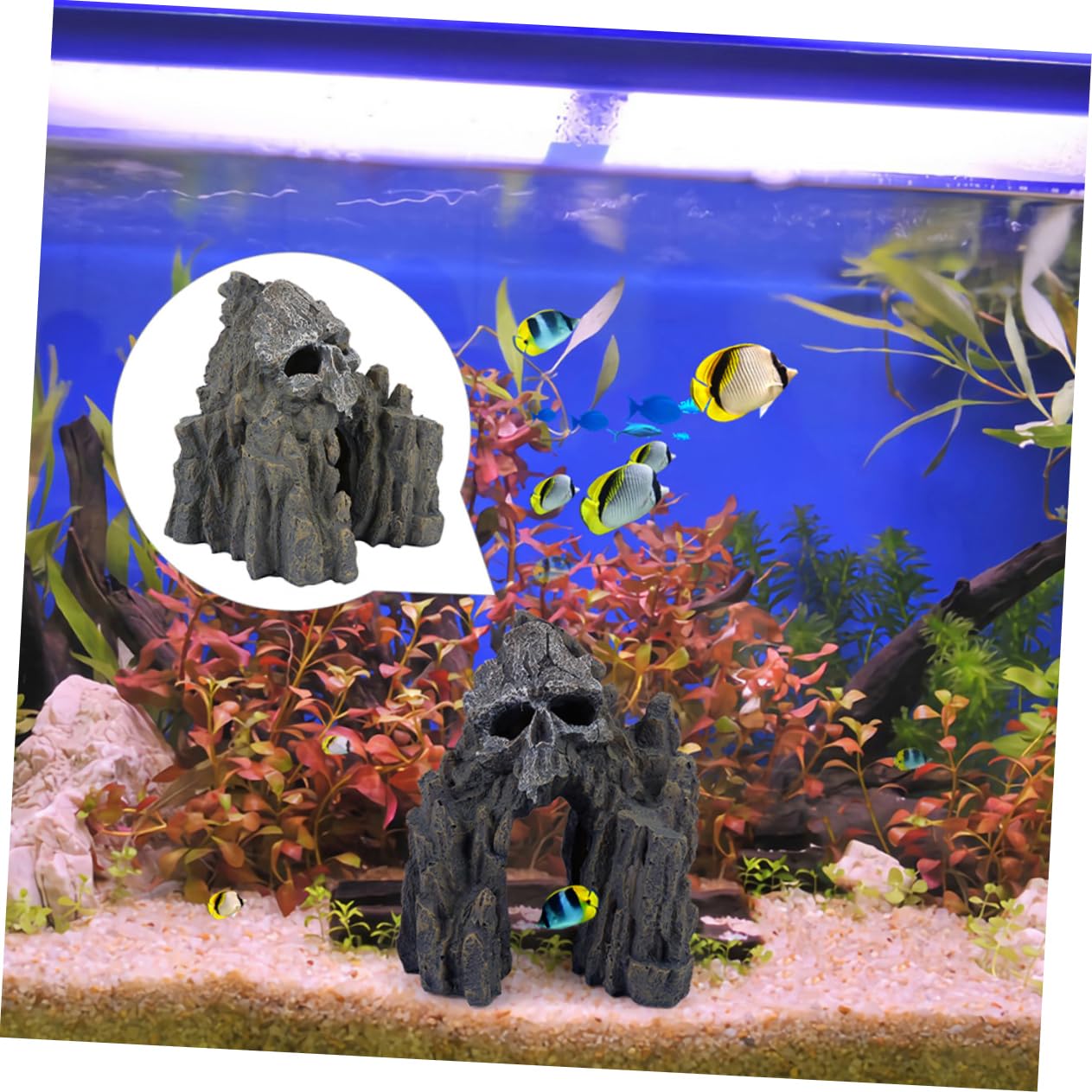 BESPORTBLE Décoration Colline pour Aquarium Crâne Résine Cachette Poissons Et Crevettes