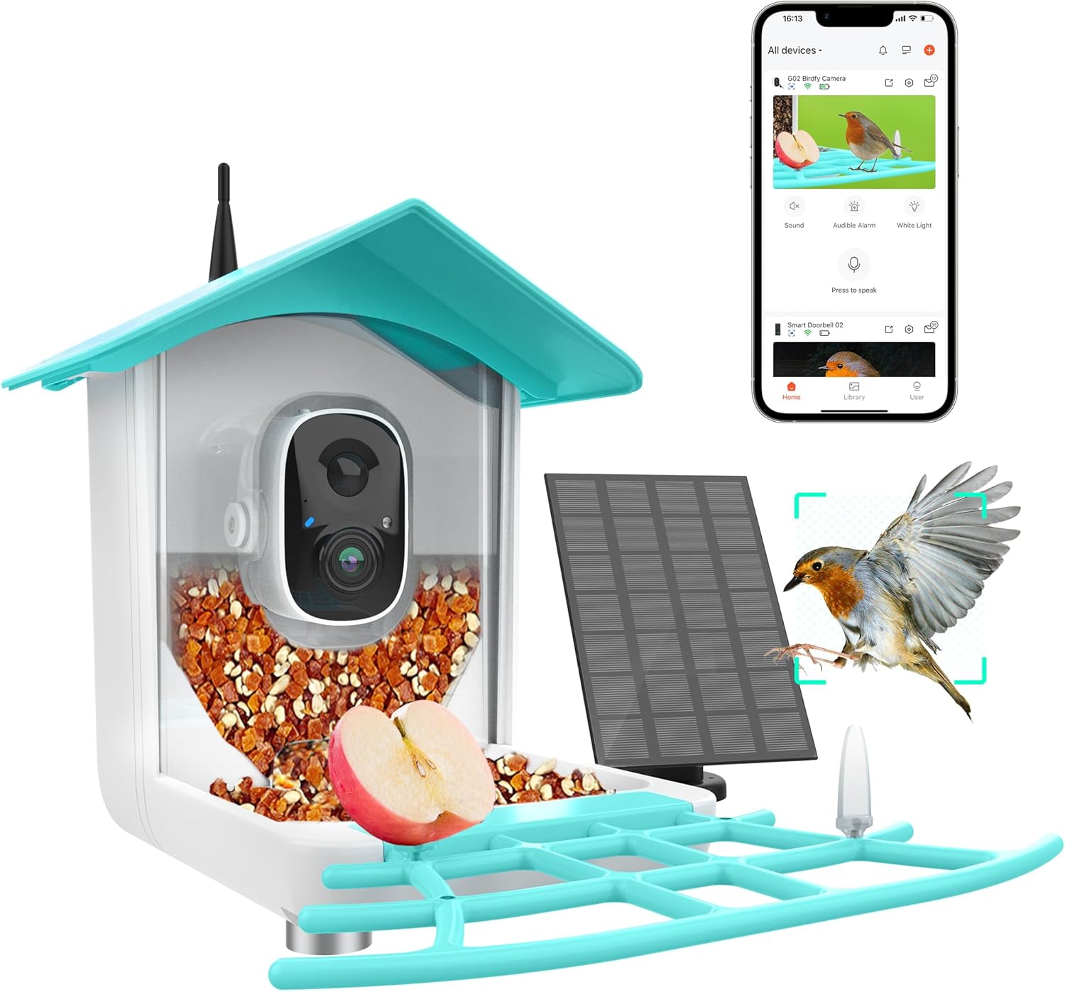How Bird Feeder Cameras Can Spark a New Hobby