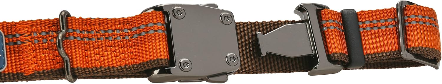 k9 explorer collar amazon