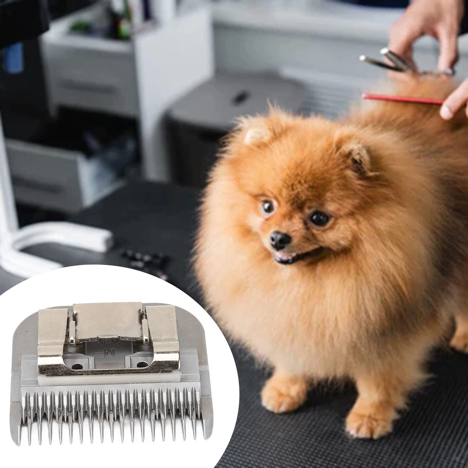 Cuchilla de esquilar para perros, tamaño 7F, 3,2 mm, hoja de esquilado de acero carbonizado extraíble con dientes profundos, cuchilla de esquilado para animales y cabeza intercambiable