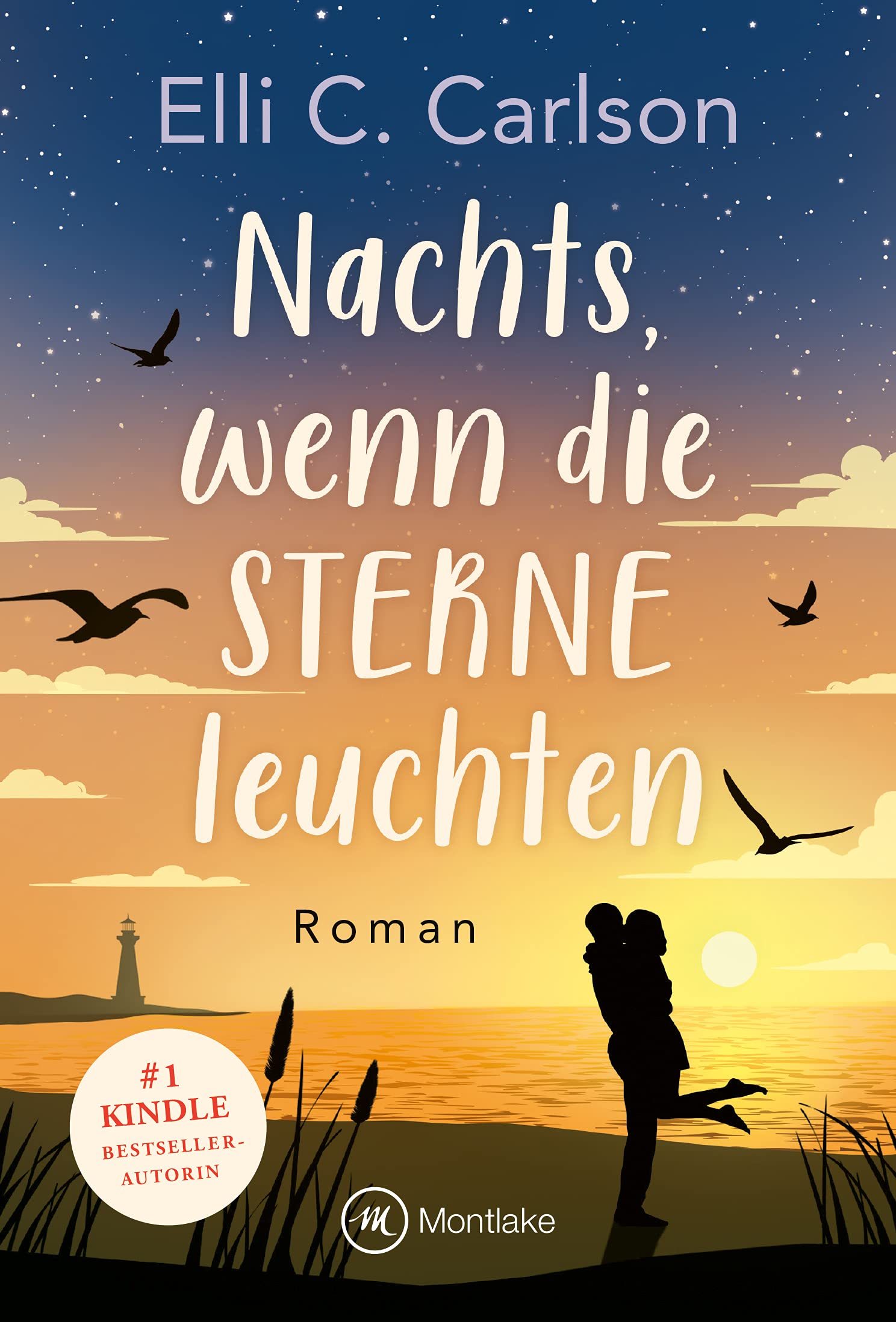 Nachts, wenn die Sterne leuchten (Liebe am Meer 3)