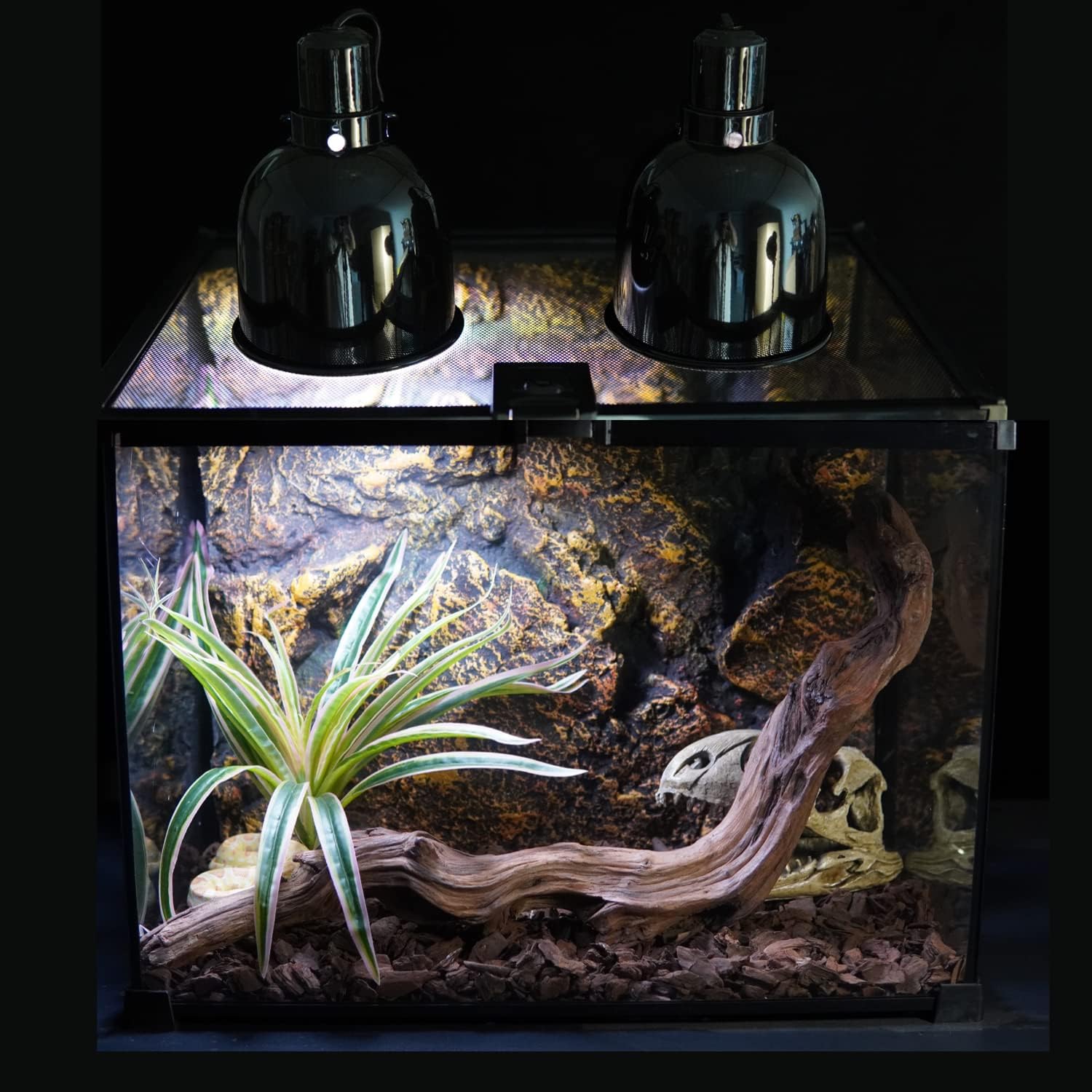 Infrared Heat Bulb and 5.5'' Reptile Light Fixture, Reptile Heat Lamp and Light Dome for Reptiles Bearded Dragon Lizard