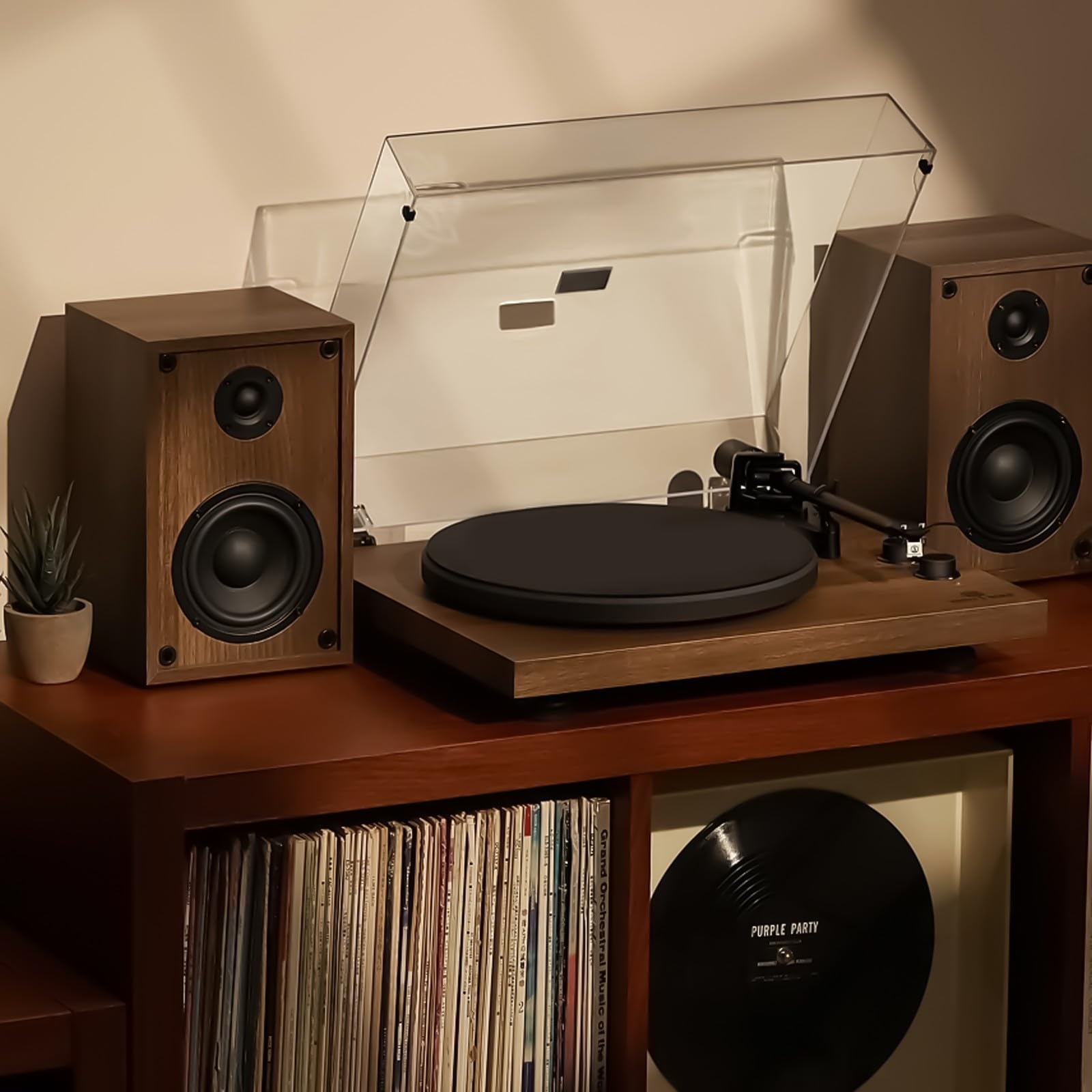 Tourne-disque en MP3 avec option de vitesse et port USB - Plateau tournant léger pour divertissement à domicile