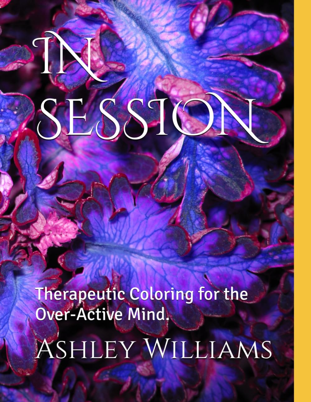 IN SESSION: Therapeutic Coloring for the Over-Active Mind.