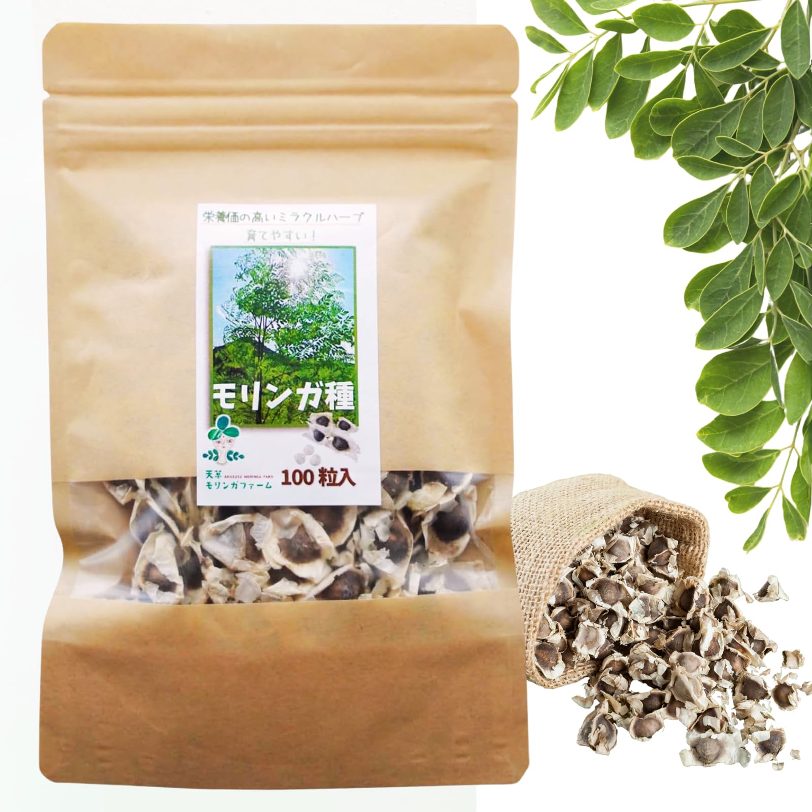 Amazon.co.jp: 【発芽率6~8割】天草モリンガファーム モリンガの種