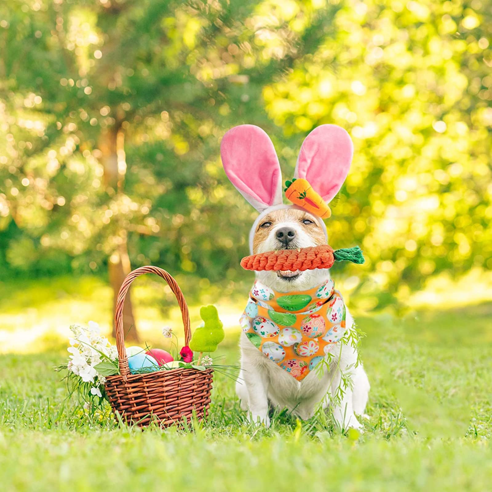 Collage Foto ' S Van Mensen Met Een Bunny Ear - Hoofdband Op Verschillende Kleurenachtergronden Gelukkig Ooster Achtergronden Image256906516