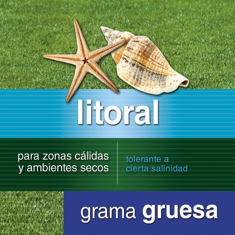 Flower - Semillas Césped Litoral Grama Gruesa | Resistente Zonas Cálidas y Secas | Tolerante Salinidad | Cubre Hasta 35 m2 | Compo Tierra Universal, 20.4x7.5x31 cm, Semilla