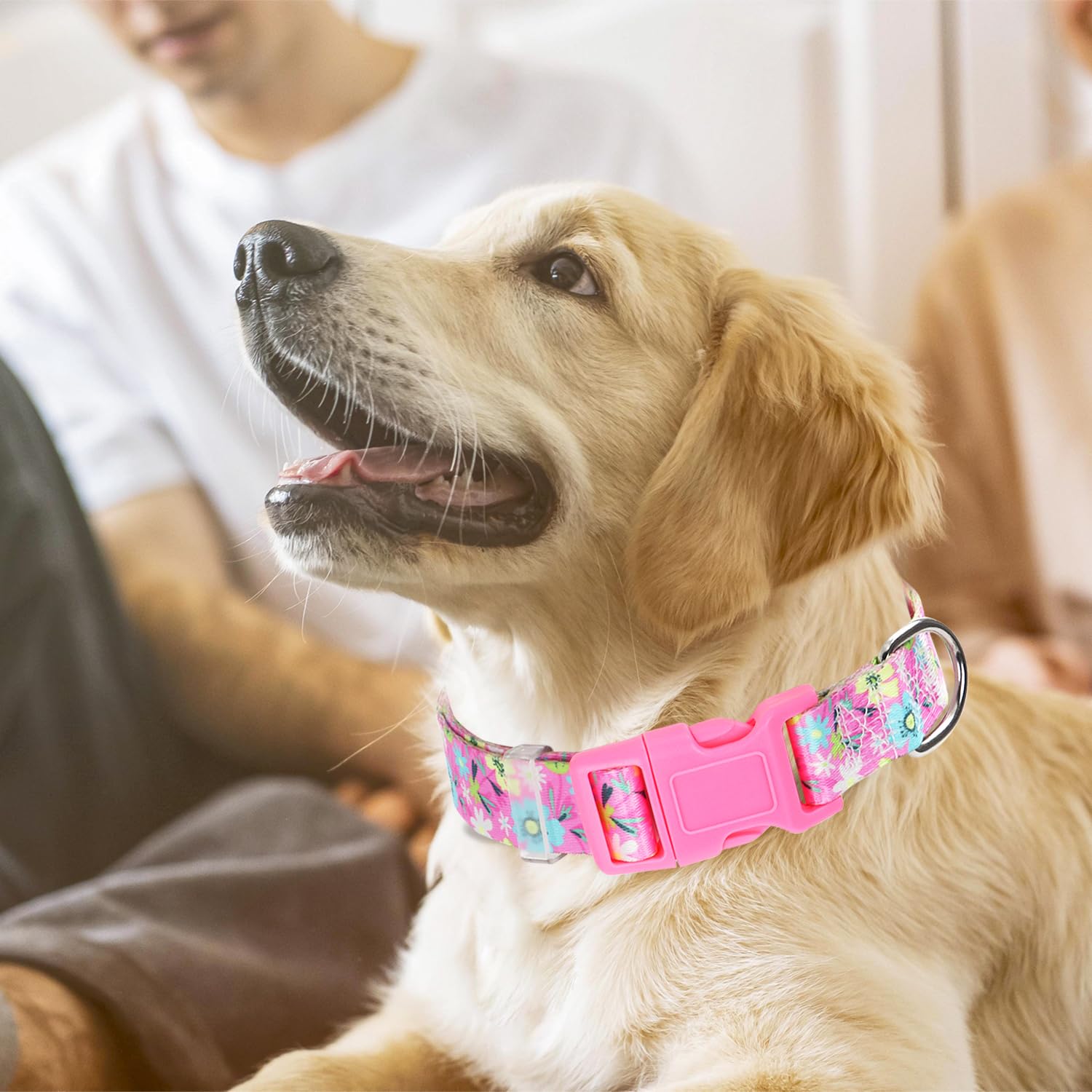 Collares para perros pequeños, collar de perro rosa con patrones de flores bohemias, ajustable, cómodo, suave, duradero, para perros XS, pequeños, medianos, grandes, extragrandes (S)