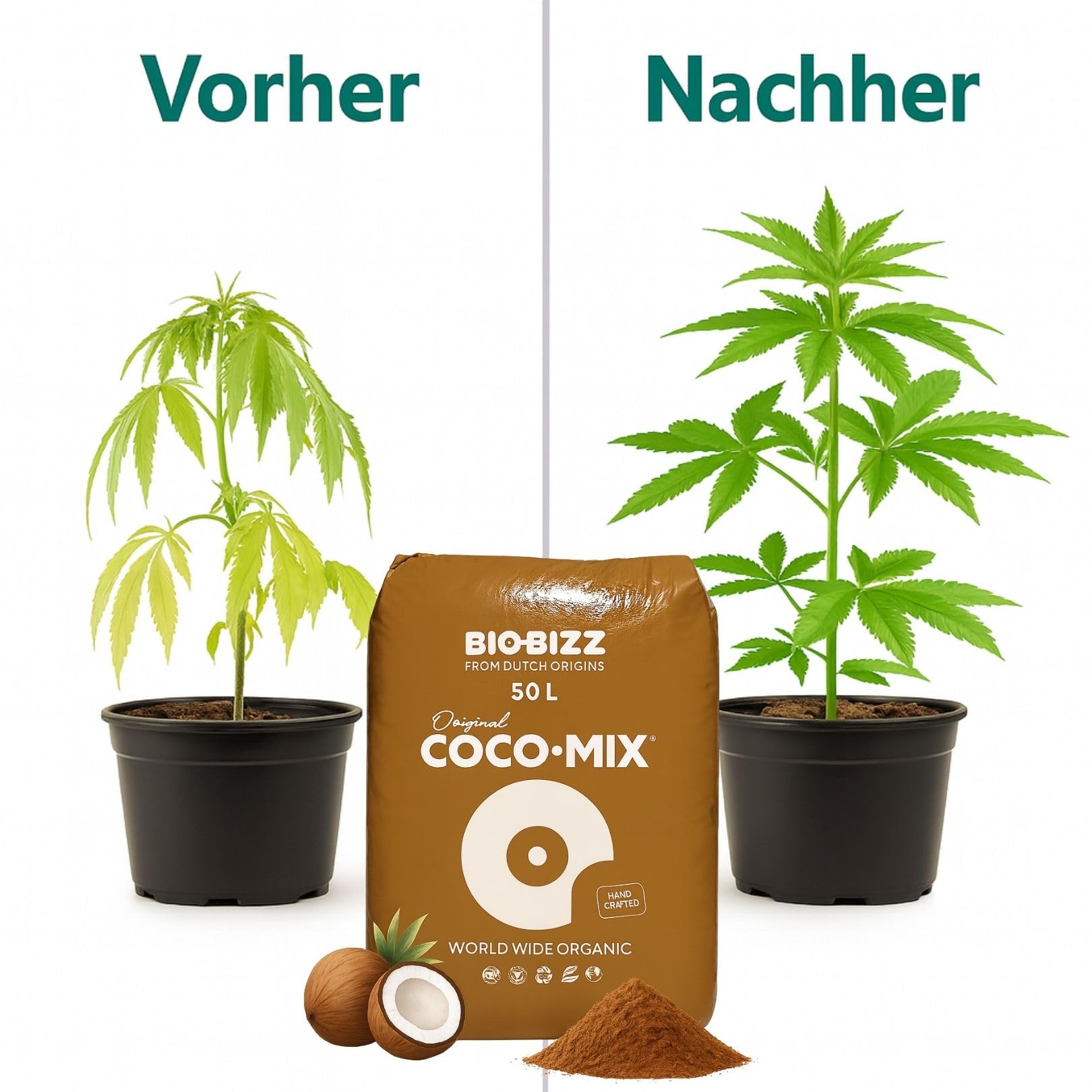 Weedness BioBizz Coco Mix 50 Liter - Kokoserde gepresst Blumenerde Substrat  Kokos Anzuchterde Grow : Amazon.de: Garten