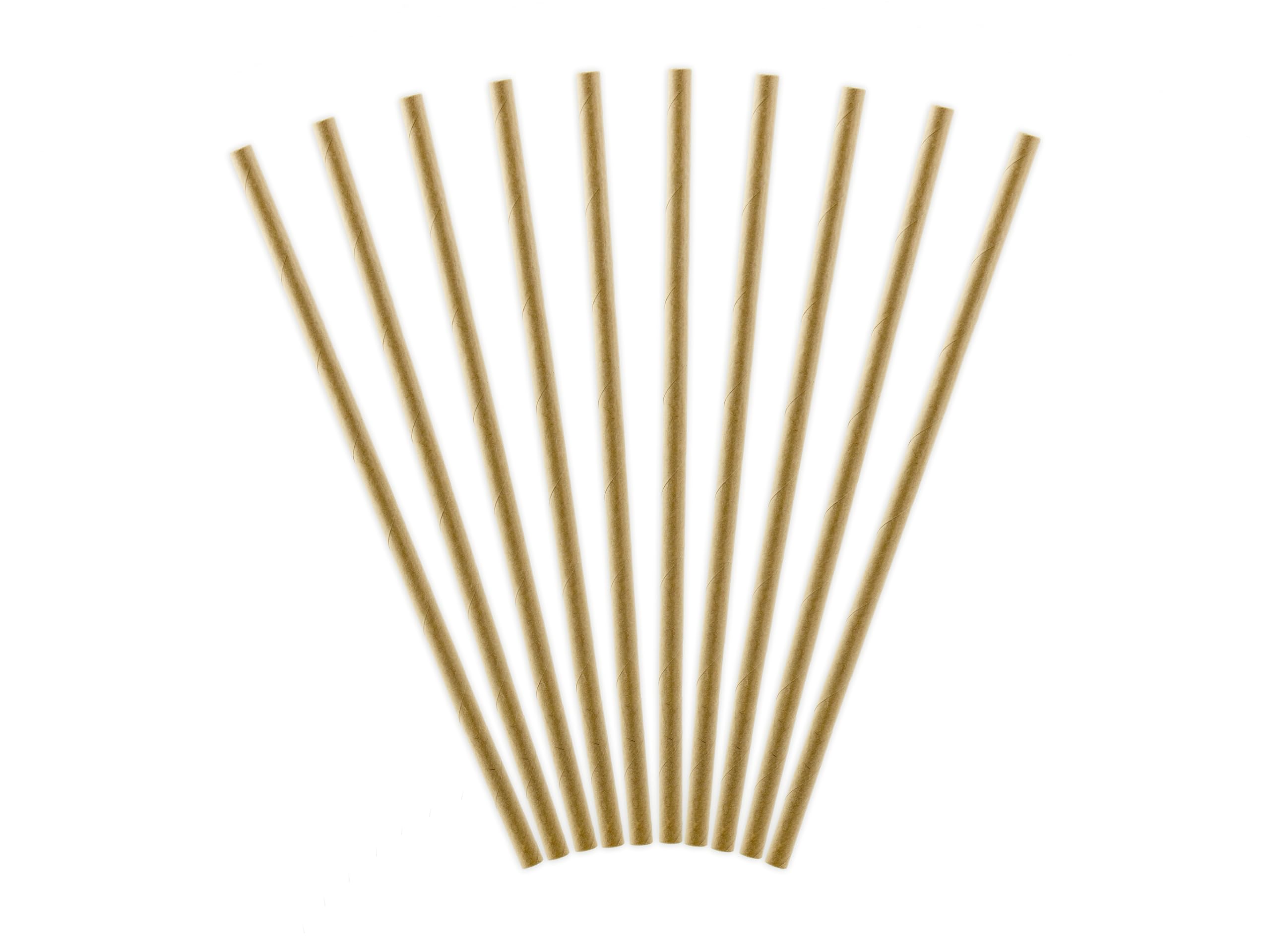 Paper Straws 19.5 cm Kraft Paper Set of 10 - Biodegradable - Drinking Straws Disposable - Cocktail Straws - Drinks Decoration Party Accessories - Natural Brown
