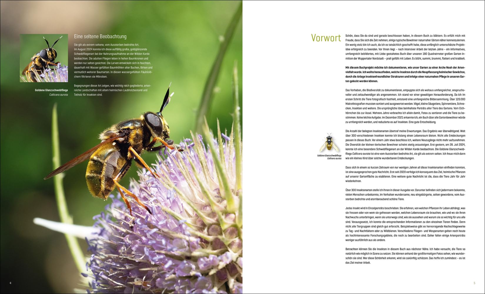 Mein Artenretter Garten: Mit den richtigen Pflanzen & Strukturen die Insektenvielfalt fördern
