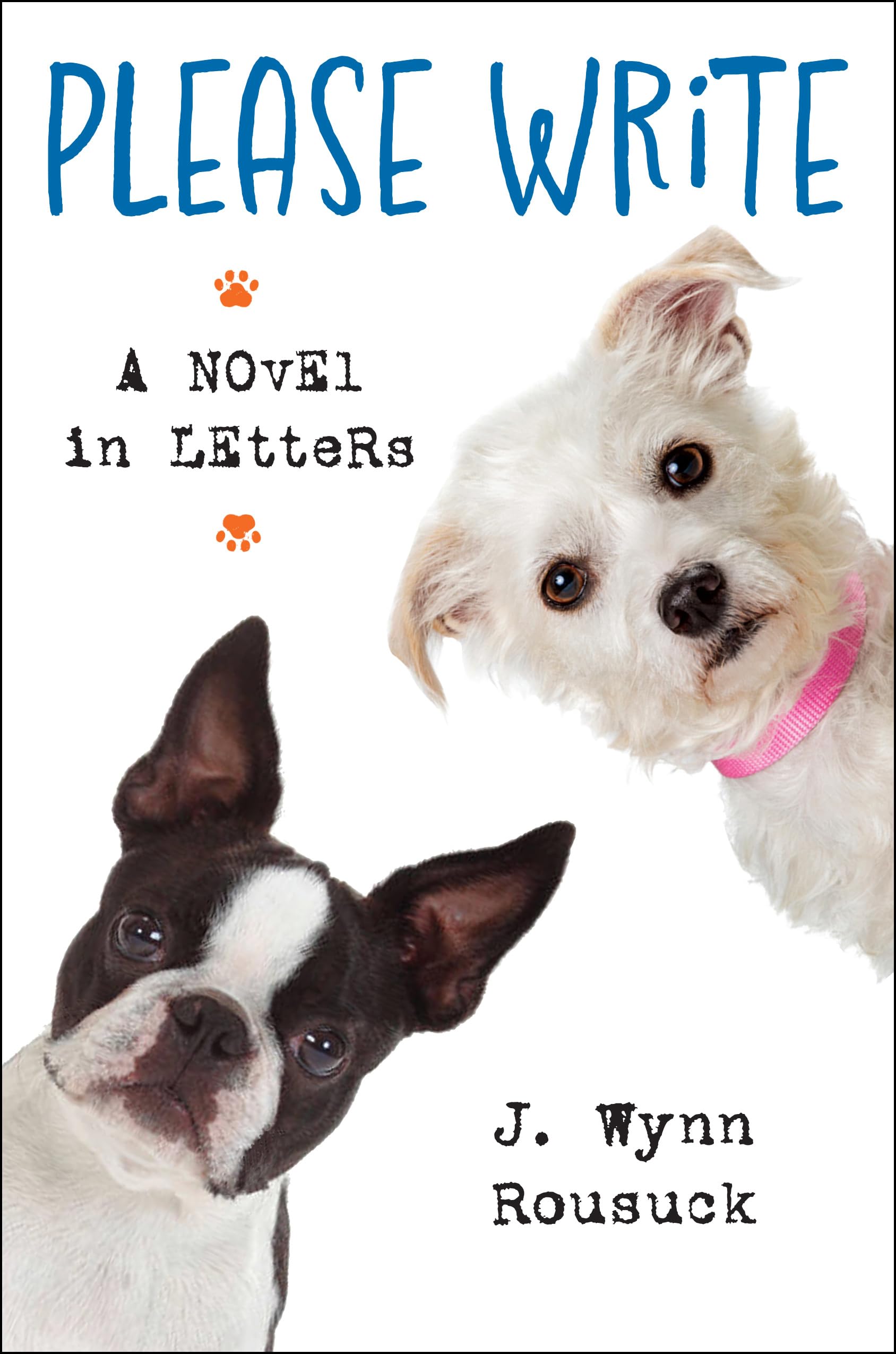 Buy Please Write: A Novel in Letters — BookShops.in