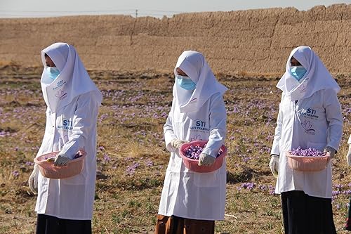 Miniatura 7 de Sophia's Platinum Saffron -1G (1 paquete de 0.04 oz) 100% azafrán afgano puro grado A, sin OMG, sin conservantesaditivos, añade color, sabor y aroma