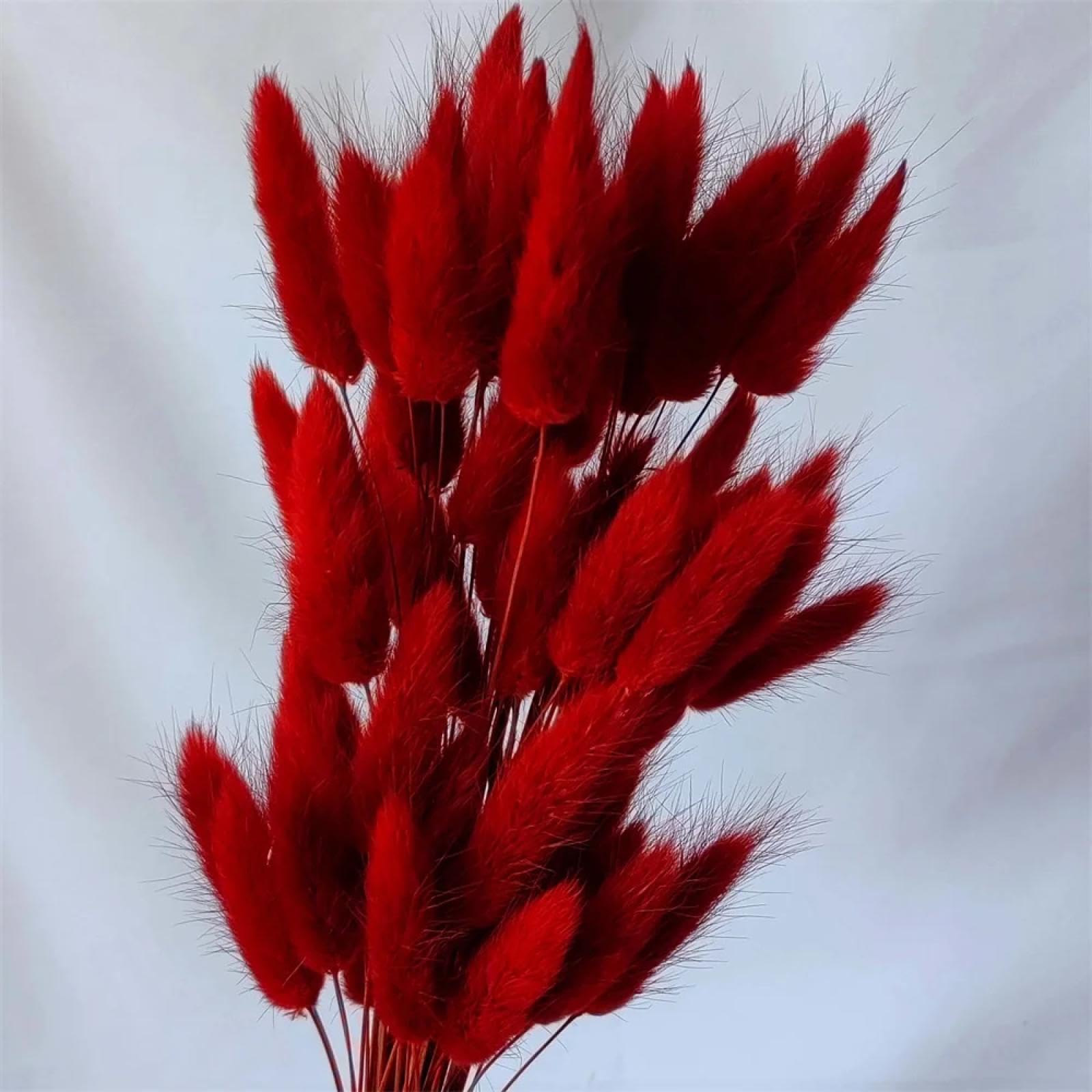 Fosangpushi Red Bunny Tails Dried Flowers,100Pcs 45Cm Dried Rabbit Tail Grass Boho Home Decor,Natural Pampas Grass For Flower Arrangements Wedding Home Decor
