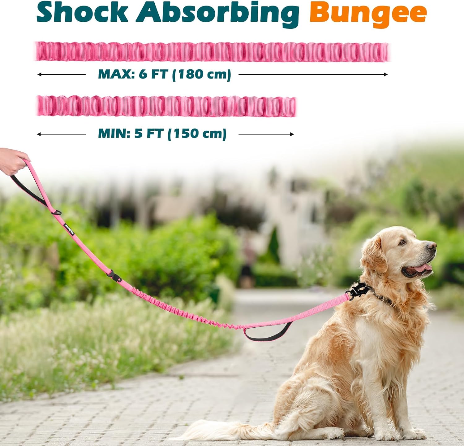 PetBonus Heavy Duty Tactical Dog Leash and 2-Pack Large Silicone Collapsible Dog Bowls