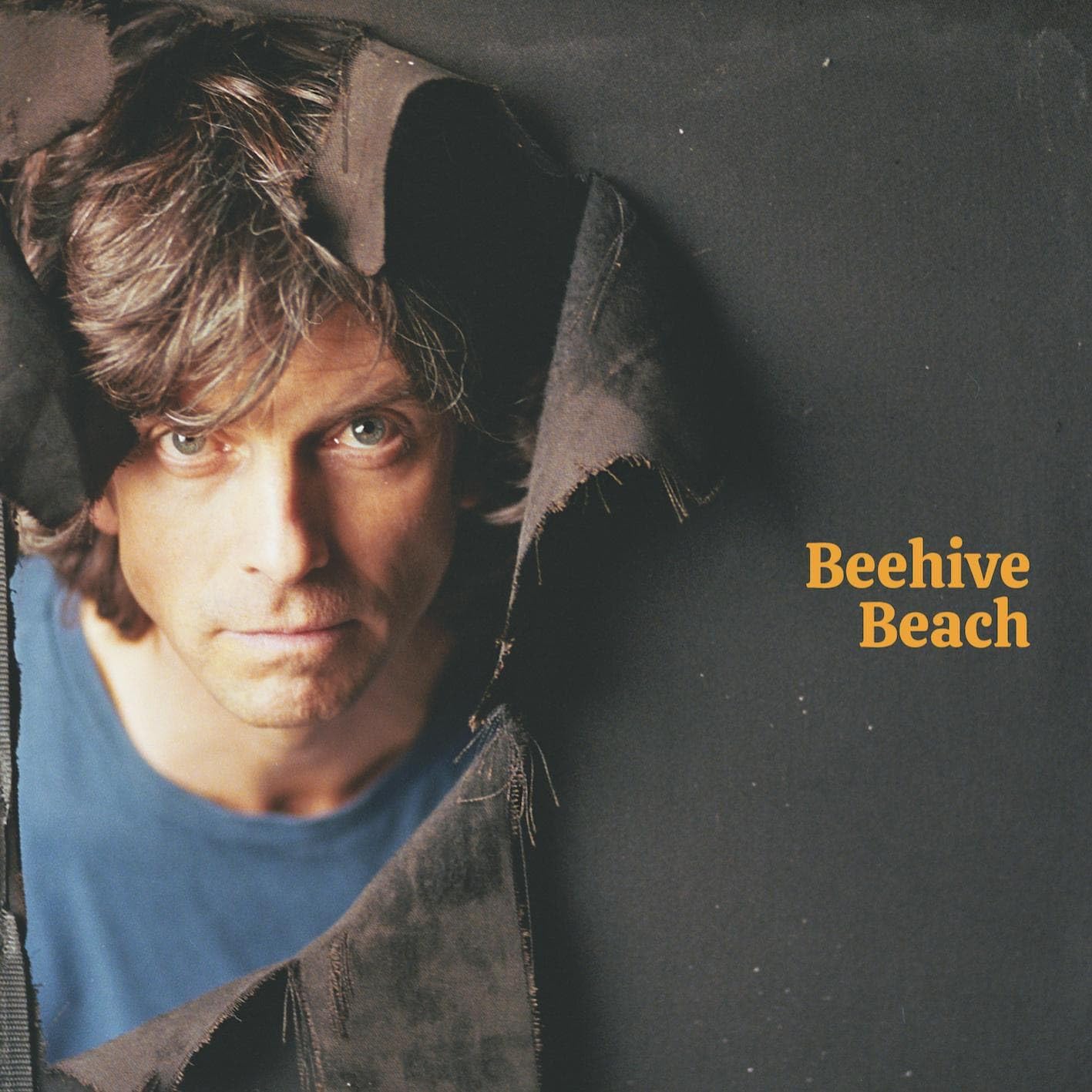 BEEHIVE BEACH [12" VINYL]