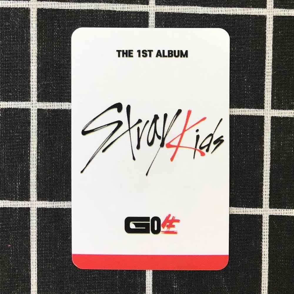 Stray kidsスキズ GO生 SUBK特典 事前収録バンチャン トレカ Stray kidsスキズ GO生 SUBK特典 事前収録バンチャン トレカ