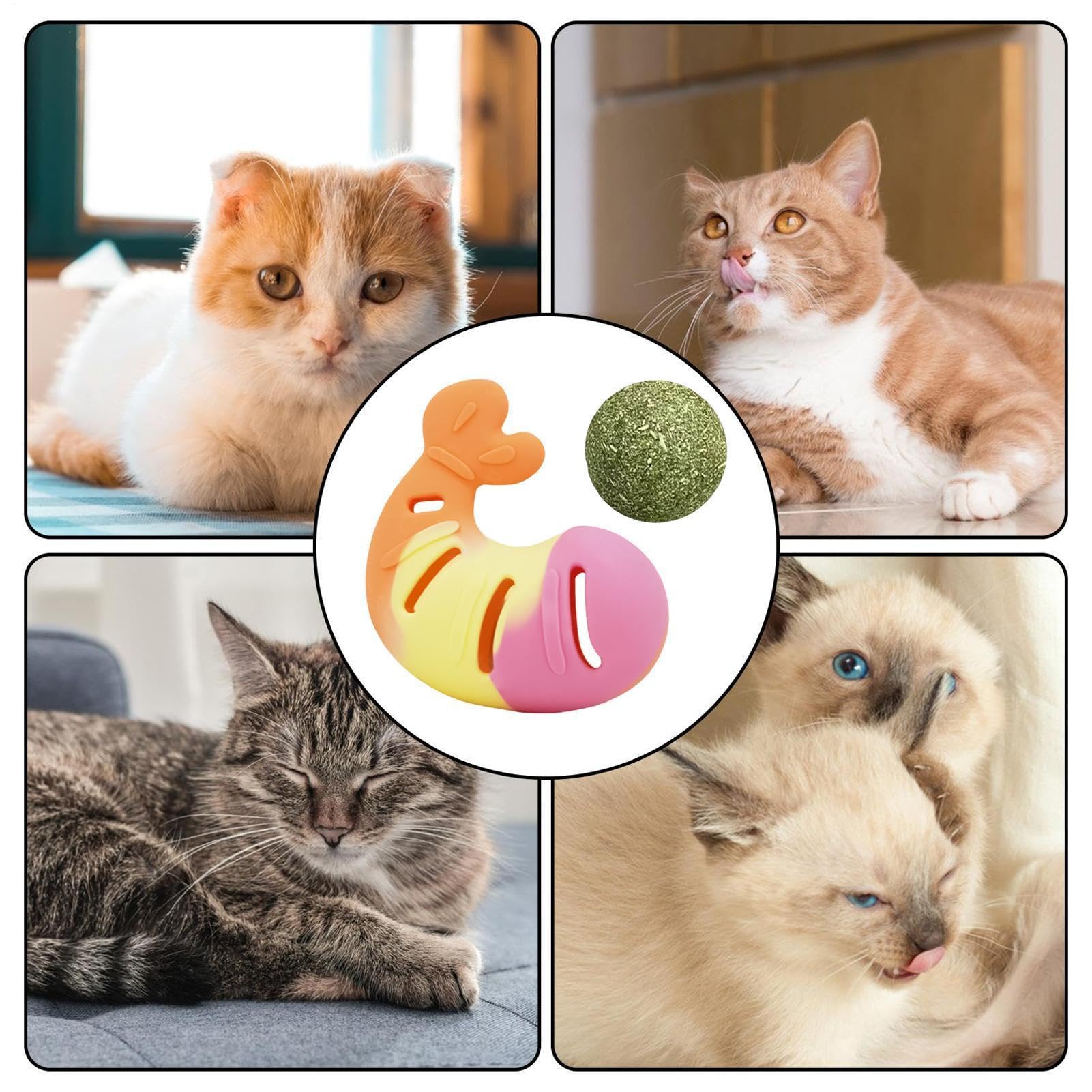 Kitten Play Toy - Shrimp Shape Chew, Stress Relief with Catnip Fun, Aid, Interactive Toy, Cat Entertainment for Indoor Outdoor Home Apartment Birthday Holiday Daily Activity at Living Room