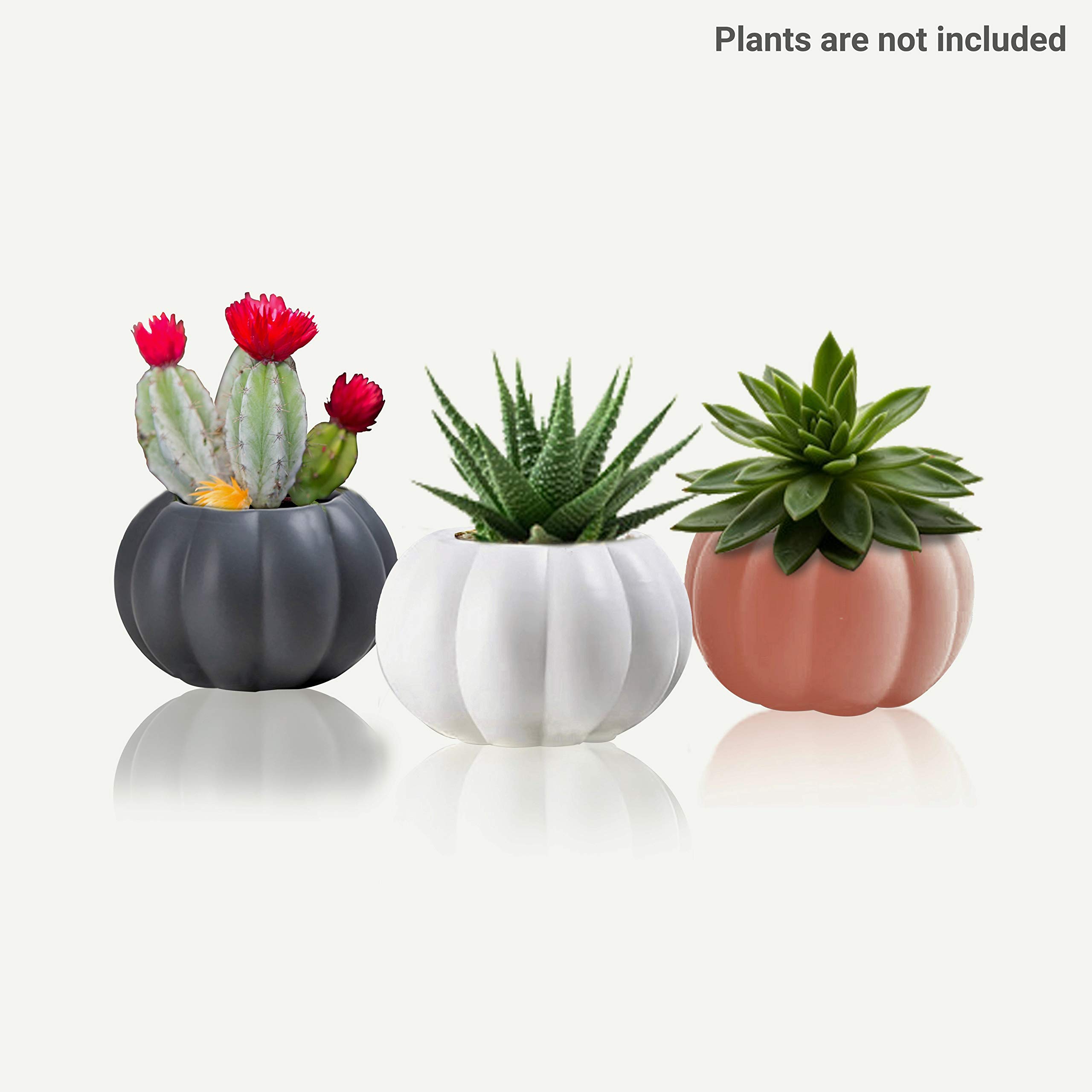 Ceramic Pumpkin Vase Decor For You