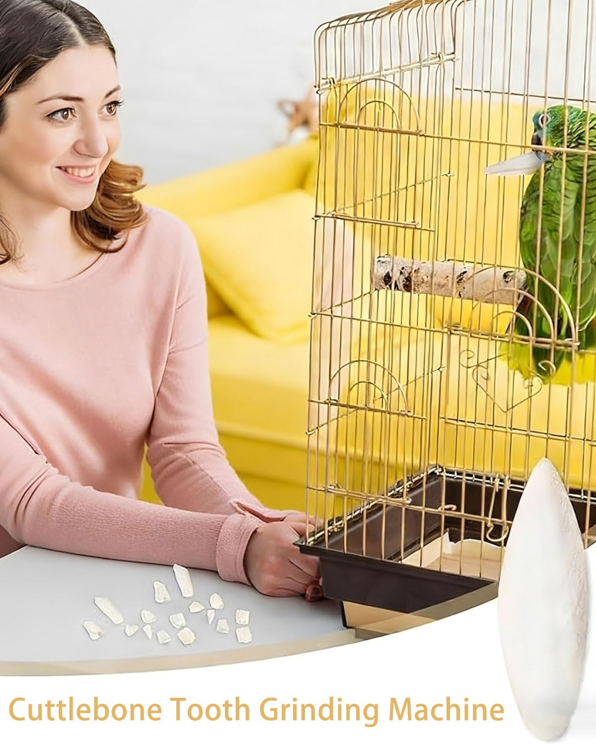 JEXOWIQ 10 Piezas Hueso de Jibia,Hueso de Sepia para Loros, Juguetes para Masticar Pájaros, Reptiles, Tortugas y Caracoles con Soporte de Metal, 8-10 cm — view 4