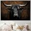 Ebony Bull
