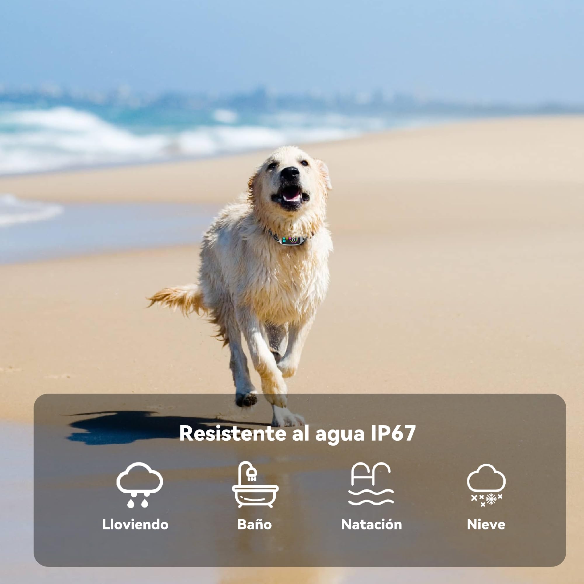 Meloive Collar Antiladridos para Perro,Collar Vibración con 8 Niveles de Sensibilidad Ajustables,4 Modos de Vibración/Fuerte Vibración/Sonido,Resistencia al Agua IP67 y Recargable,Blanco
