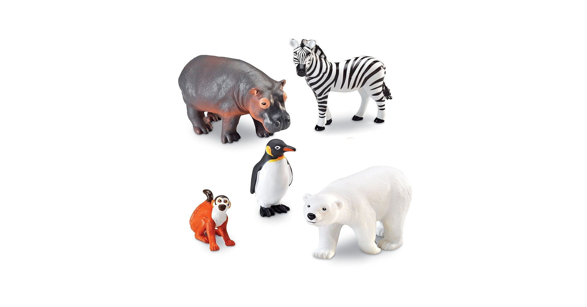 動物園学 - Zoo Animals hq720.jpg?sqp=-