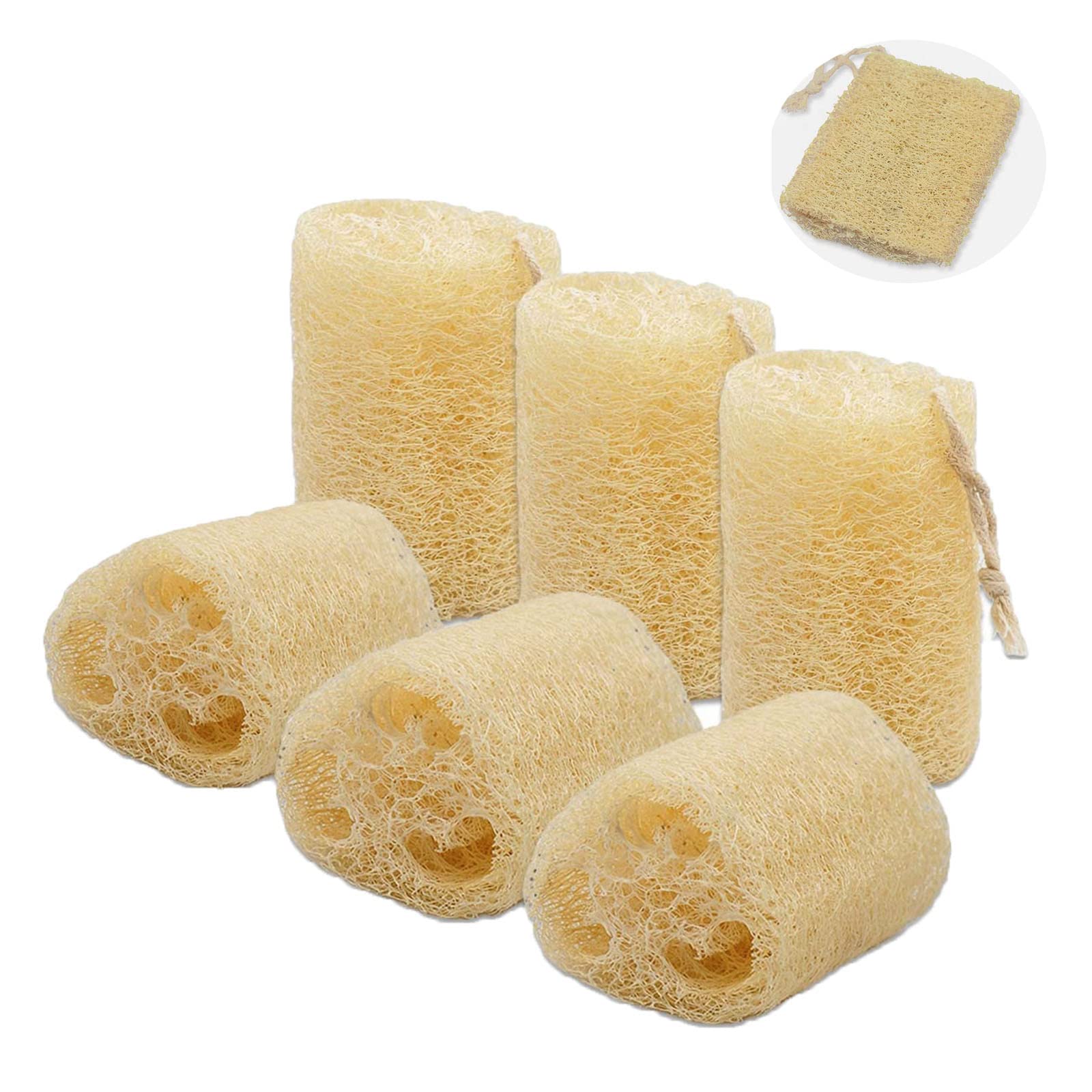 HBSTUDIO Organic Natural Loofah Sponge, Unbleached, 6 Pcs Luffa in Bulk,Egyptian Exfoliating Luffa Scrubber for All Body Types,Men and Women Shower and Body Skin Care