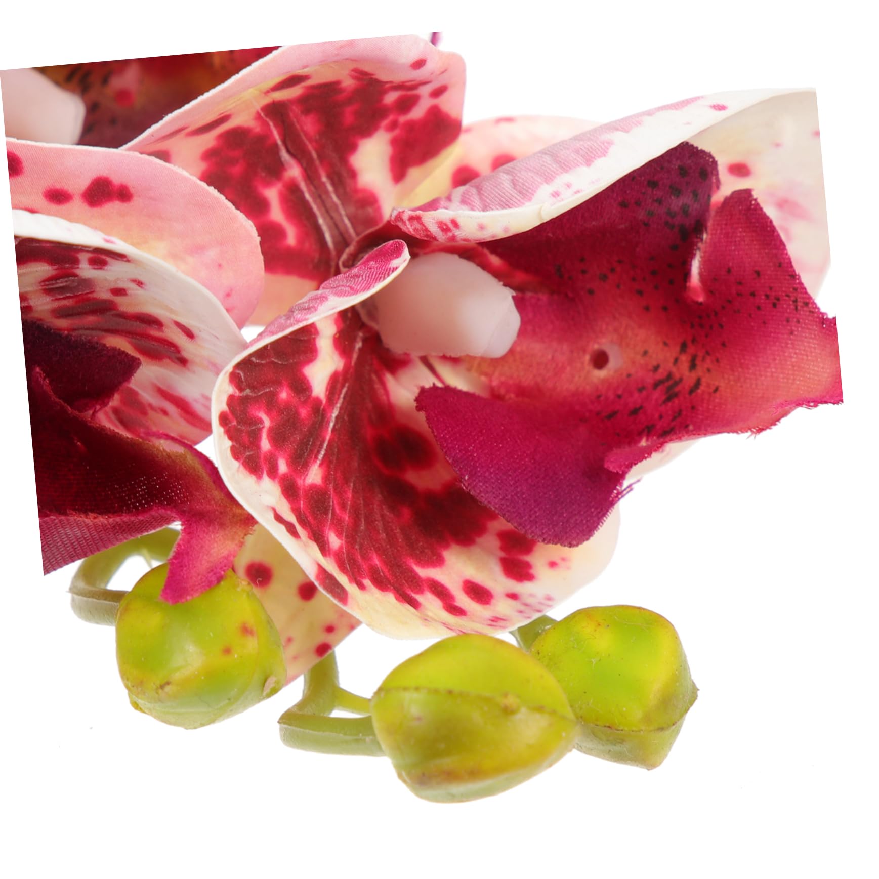 Angoily 4piezas Plantas Artificiales para Terrarios y Acuarios Decoración De Reptiles Accesorios para Tortugas y Lagartos Ornamentos Naturales Lifelike