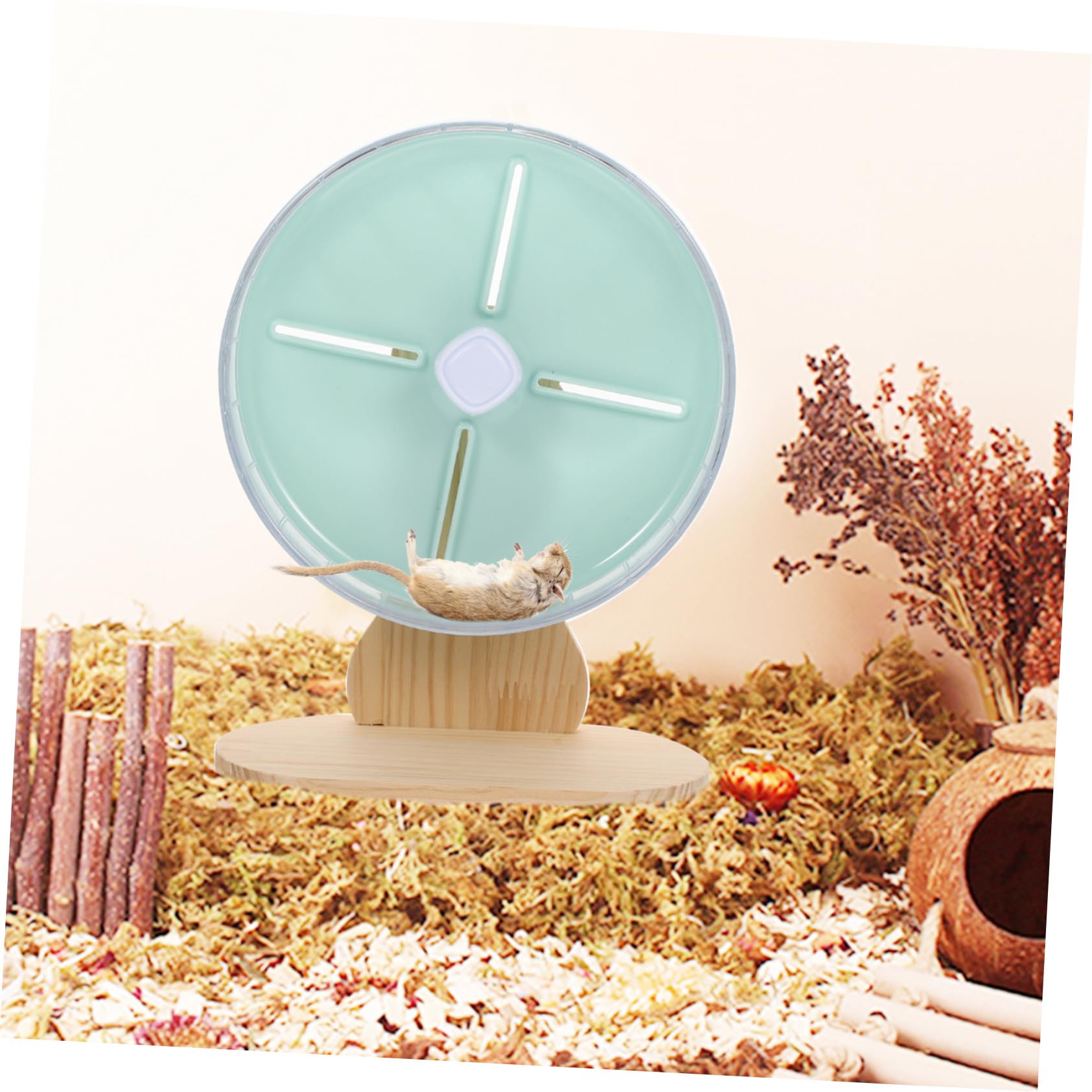 Hohopeti 1ensemble Roue De Hamster Silencieuse avec Support Accessoire pour Rongeurs Chinchillas Et Jouet pour Petits Animaux