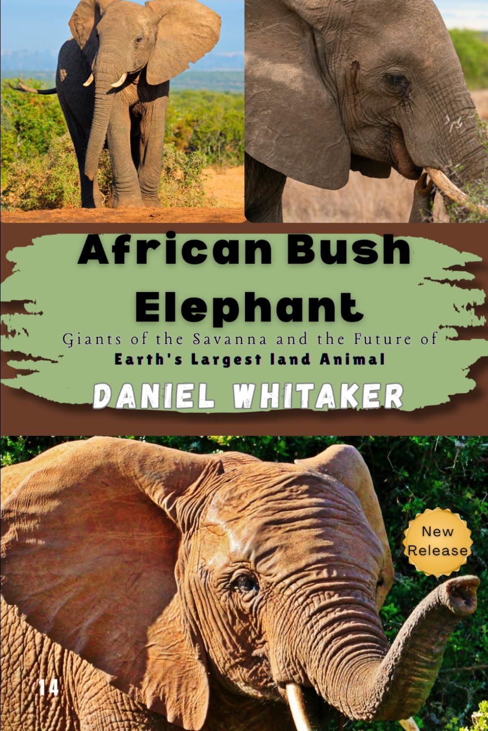 African Bush Elephant: Giants of the Savanna and the future of the Earth's Largest land Animal