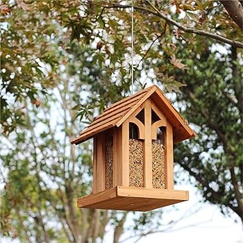 Amazon.co.jp: バードフィーダー 野鳥 餌台 庭の屋外の供給窓の鳥の餌