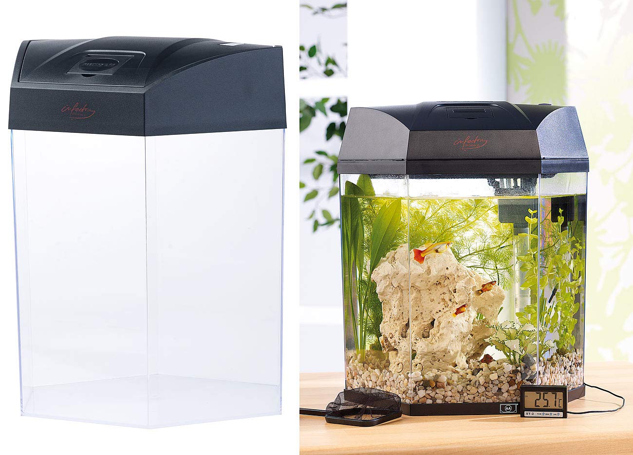 infactory Mini Aquarium Set: Beleuchtetes Panorama-Aquarium Hexagon, Komplett-Set, 19 l (Mini Komplettset, Panorama Komplettset, Eck)