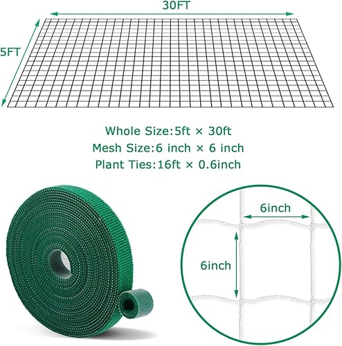 Miniatura 2 de EAPFCT Red de enrejado de 5 x 30 pies paquete de 2 unidades de poliéster resistente para plantas trepadoras red de enrejado de jardín de 6 pulgadas