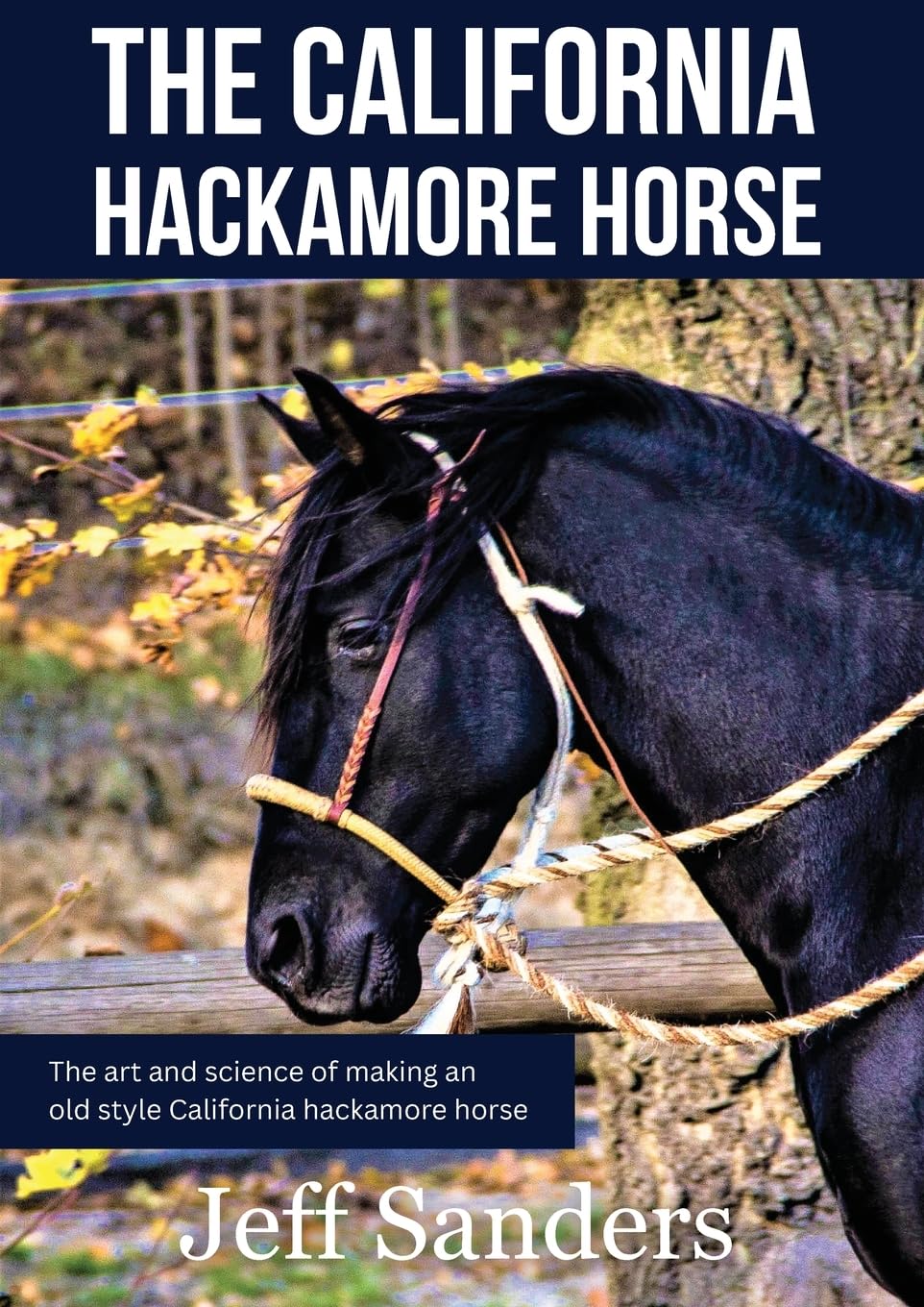 The California Hackamore Horse - The Art and Science of Making an Old Style California Hackamore Horse (California Vaquero Horsemanship)