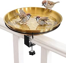 Bebedero Pájaros Colgante Balcón Φ26cm Acero Inox Con Soporte Barandilla