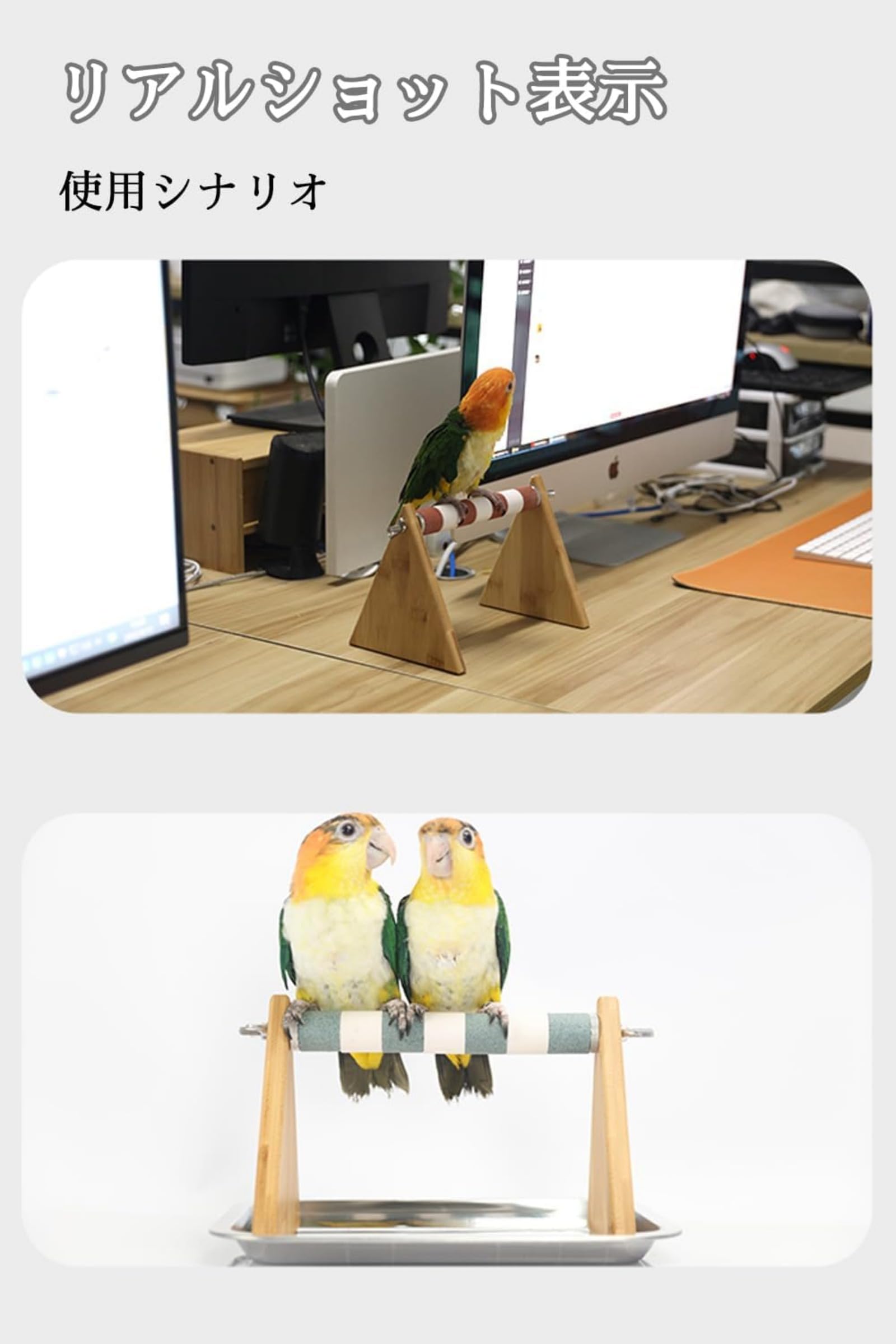 止まり木 s08m09 止まり木 - 【最安値】 止まり木 s08m09 楽天市場】インコ 止まり木