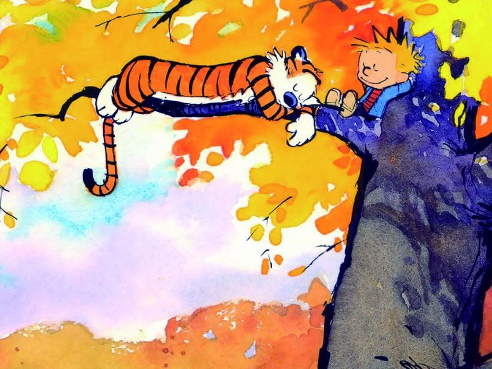Canvas Art Print Poster-calvin and hobbes 20x28 inches unframed
