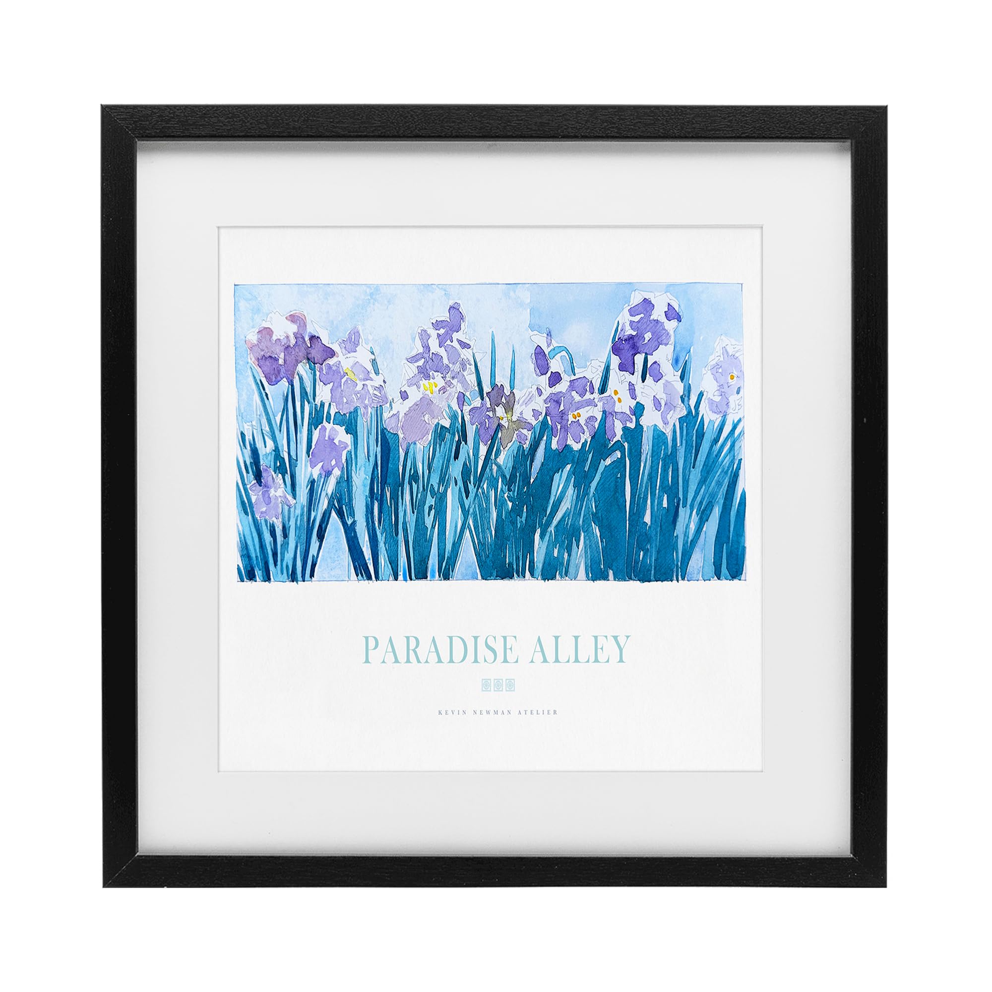 Stupell Industries Midnight Black (Textured) Purple Irises Floral Still Life, 16 X 16 Inch Framed Print Under Glass
