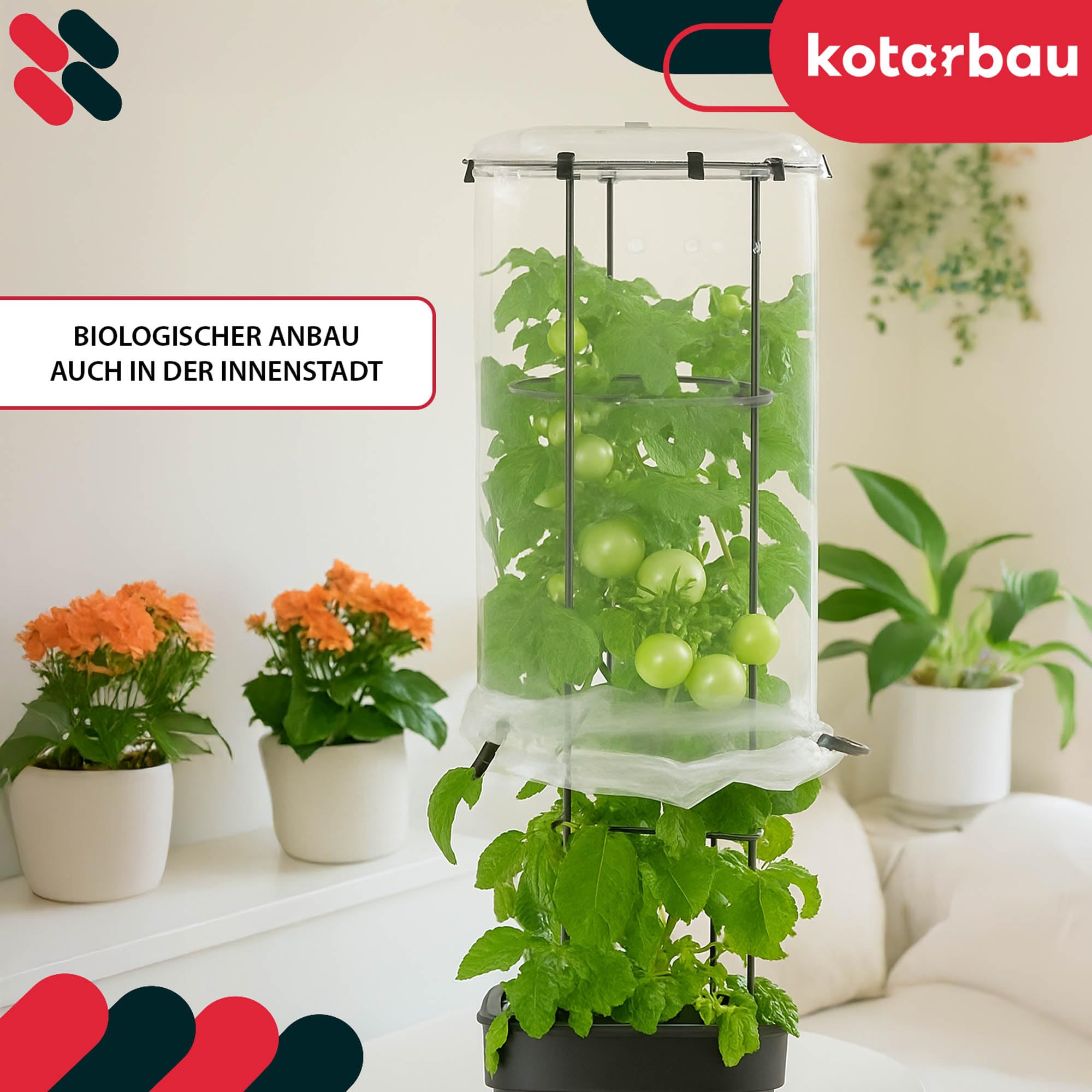 KOTARBAU® 4er Set Schutzfolie für Tomatenpflanze - ⌀ 40 cm x 148 cm - Tomatenschutzfolie - Schutzfolie - Reifehaube - Reifefolie - gewächshaus Klein - Transparent