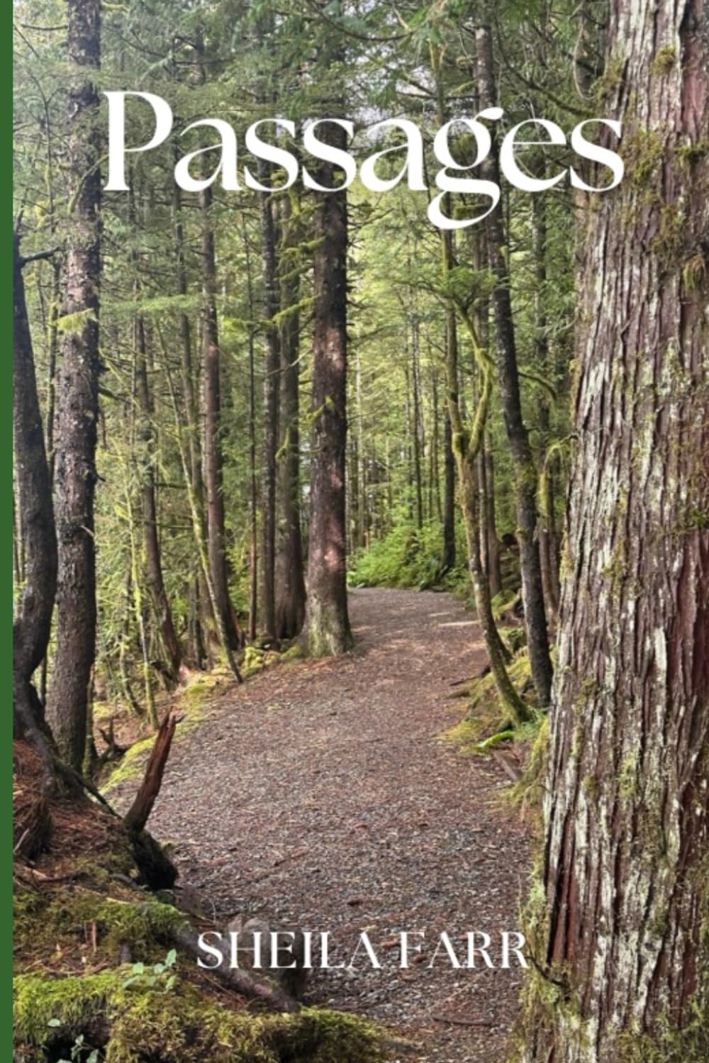 Passages: Echoes of Wisdom from Lives Well-Lived
