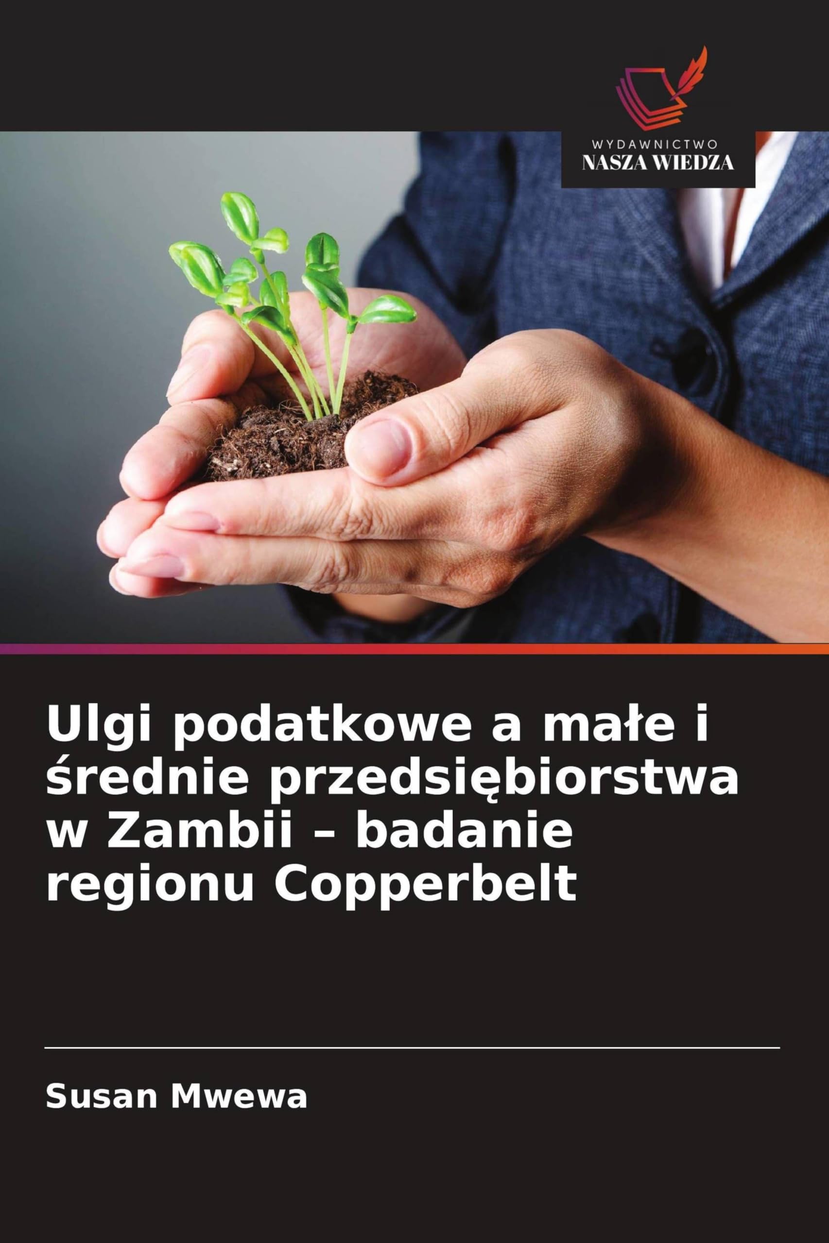 Ulgi podatkowe a ma¿e i ¿rednie przedsi¿biorstwa w Zambii - badanie regionu Copperbelt