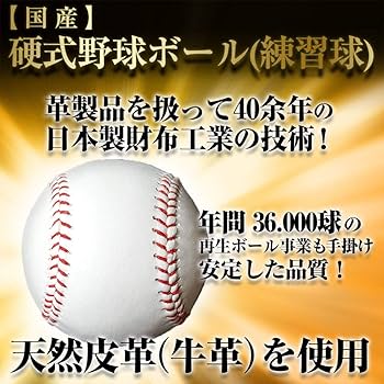 (未使用･未開封品)HARDBALL ソフトボール用ウィルドライブ レッド IBE【外野手向け／サイズ