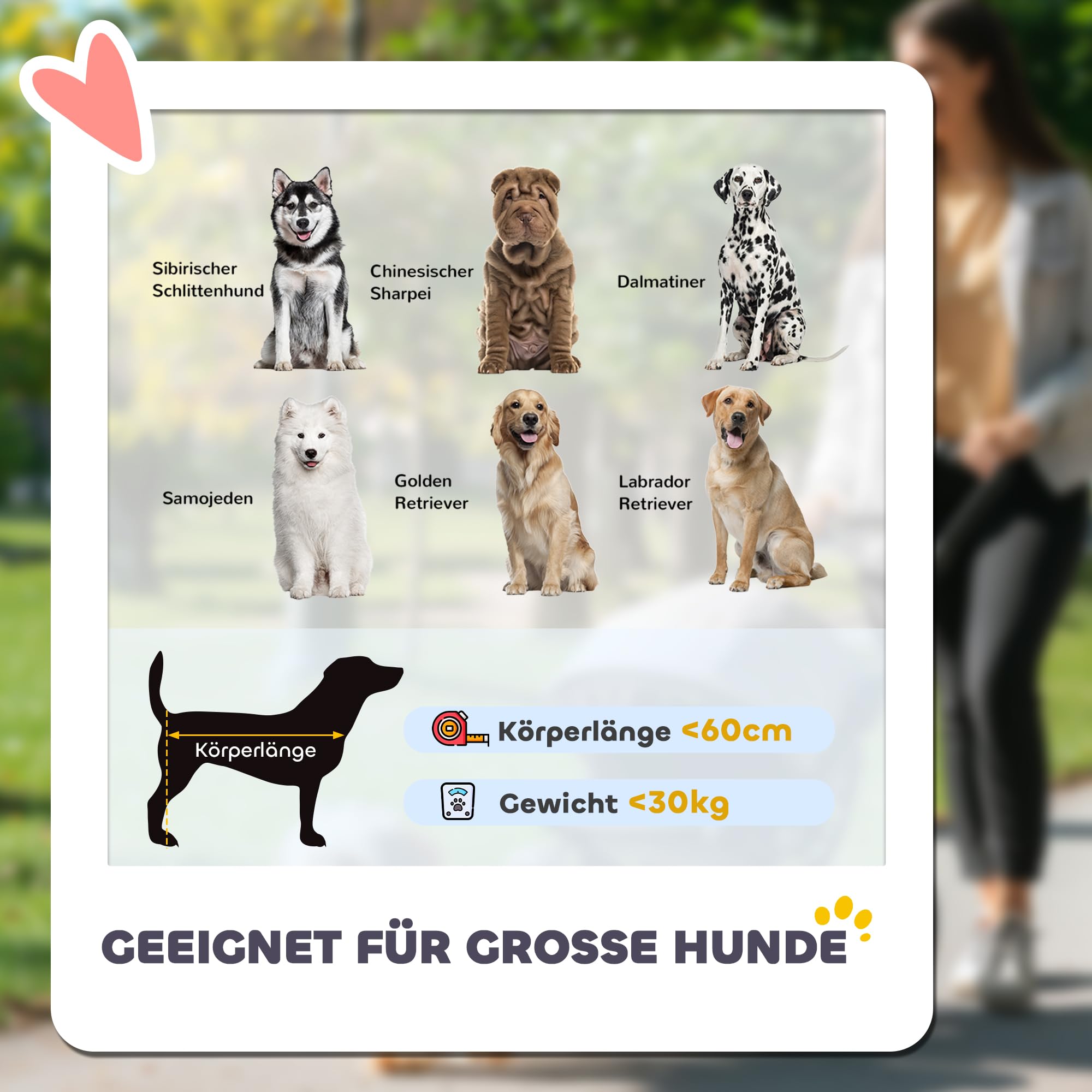 PawHut 2 in 1 Hundewagen Hundebuggy klappbar für Hunde & Katzen bis 30 kg Bollerwagen mit Kissen Netzfenstern 2 Türen Aufbewahrungstasche Katzenwagen Buggy Dunkelgrau
