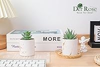 Vista 4 de Der Rose Juego de 2 plantas suculentas artificiales Mini plantas suculentas falsas para accesorios de oficina y hogar para mujeres