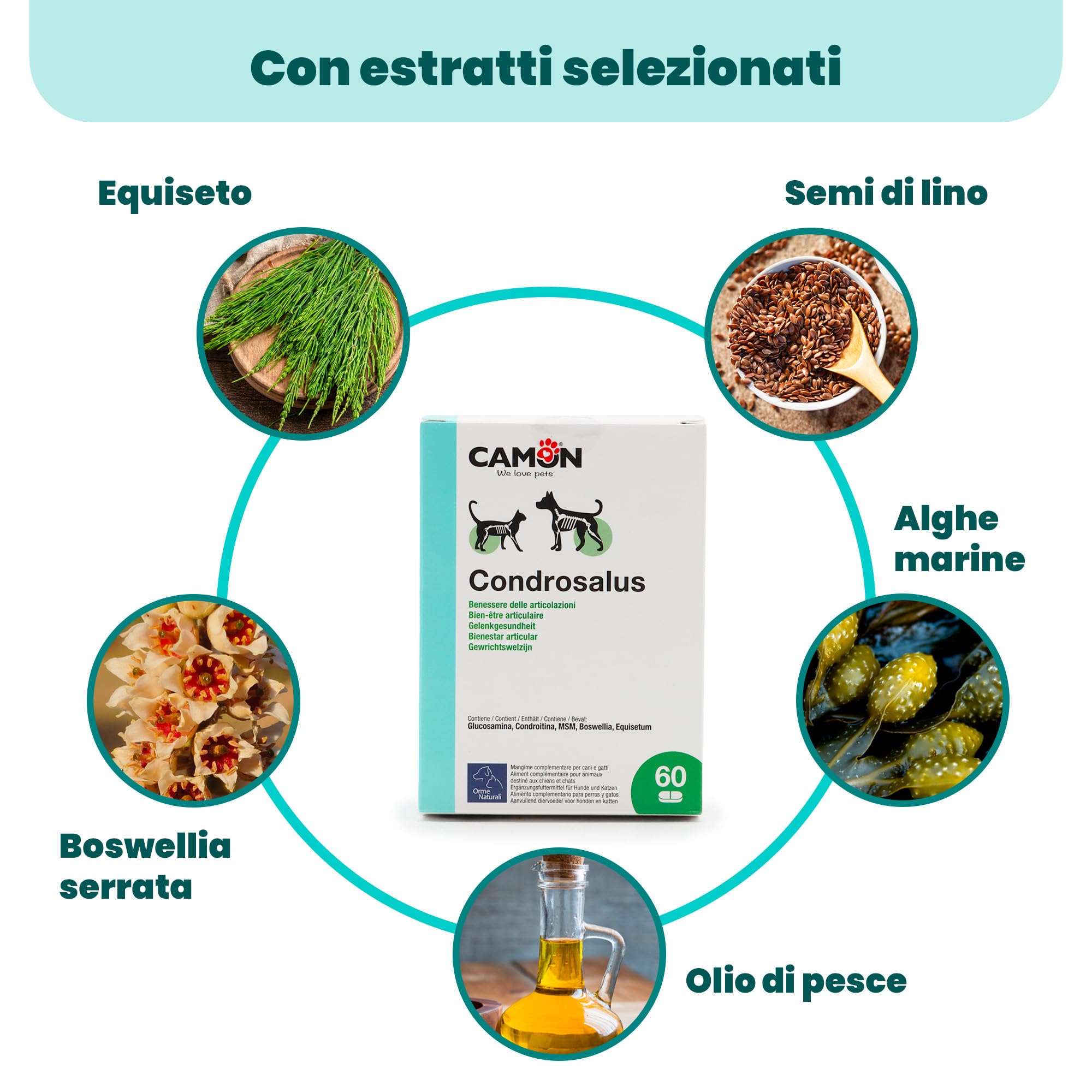 CAMON | Condrosalus Compresse, Alimento Complementare per Cani e Gatti per il Benessere delle Articolazioni, Previene Fenomeni Artrosici, 60 cpr