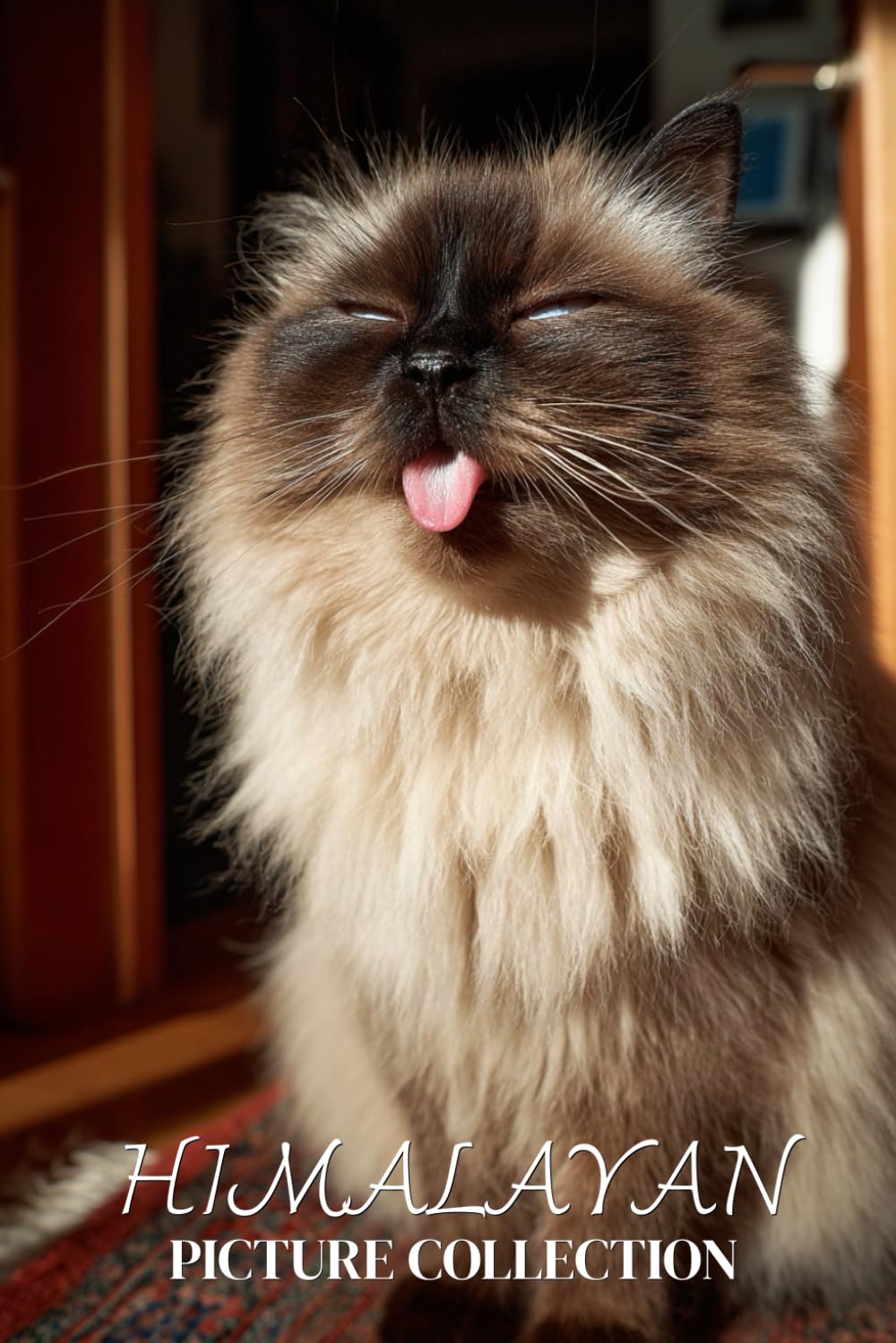 Himalayan Cat Photo Collection: Plush Full-Page Pictures of Himalayan Cats and Kittens for All Ages (Calming Pet Books)