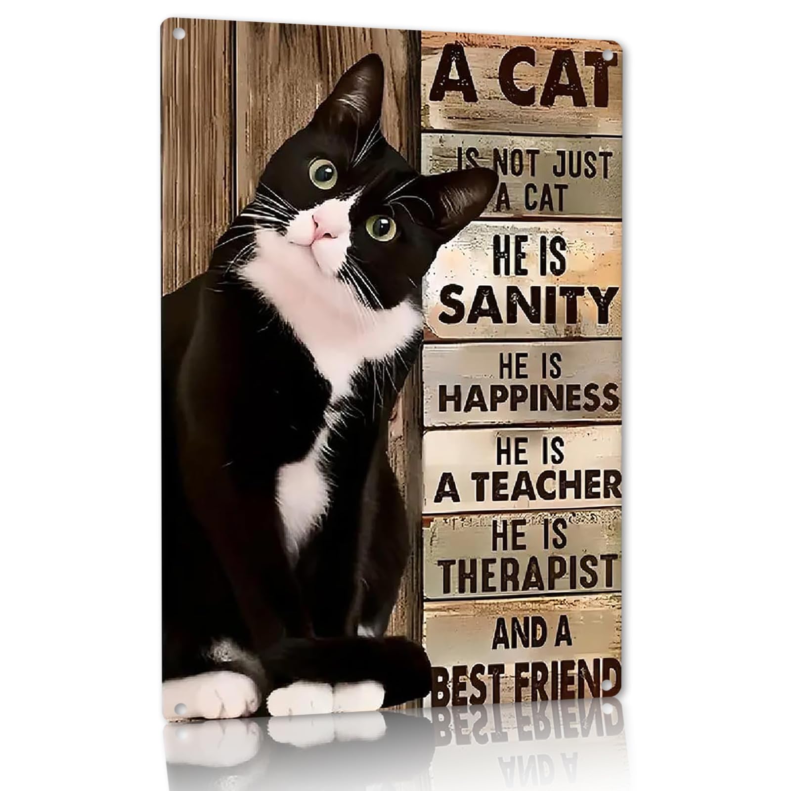 A Cat Is Not Just A Cat Tin Sign, 8x12 Inch Cat Lover